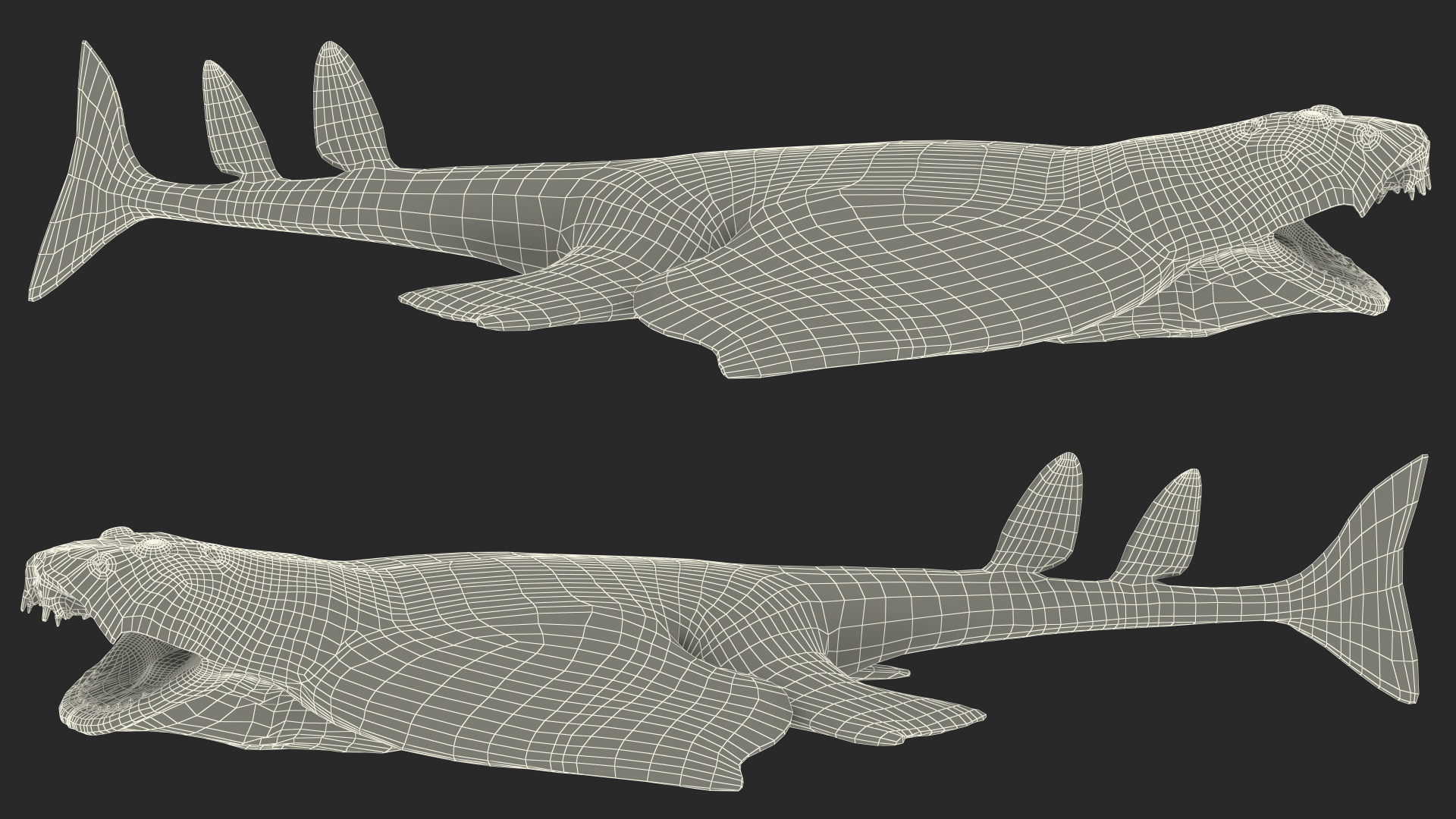 3D Angel Shark Attack Pose model
