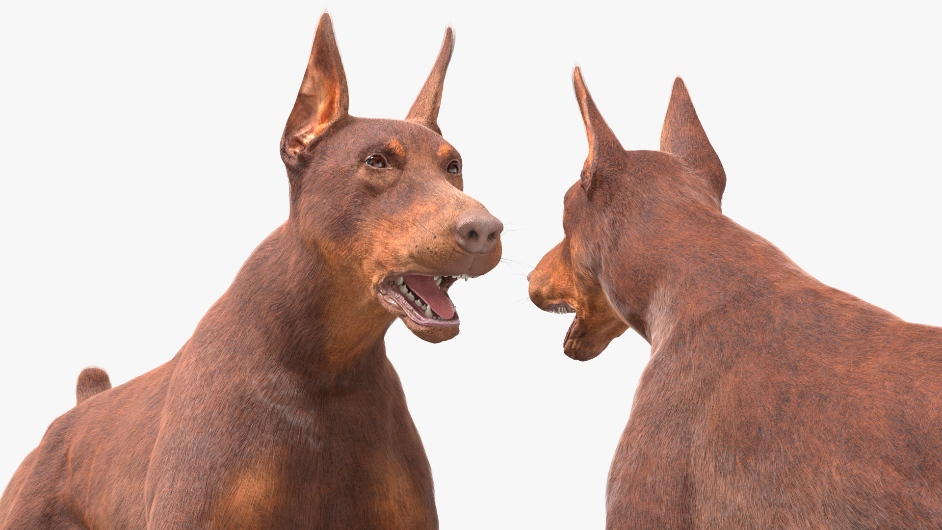3D model Doberman Dog Brown Running Fur