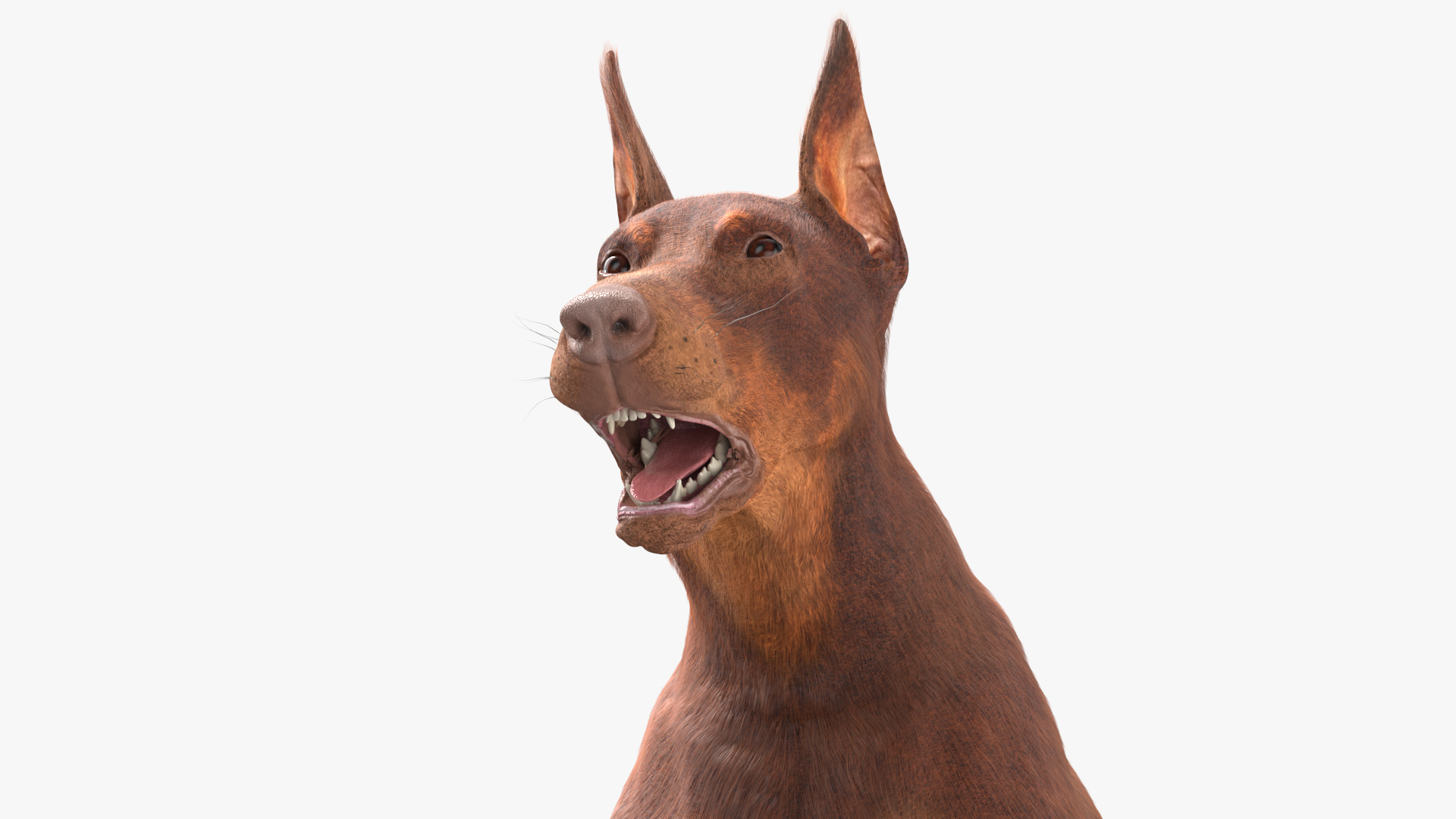 3D model Doberman Dog Brown Running Fur