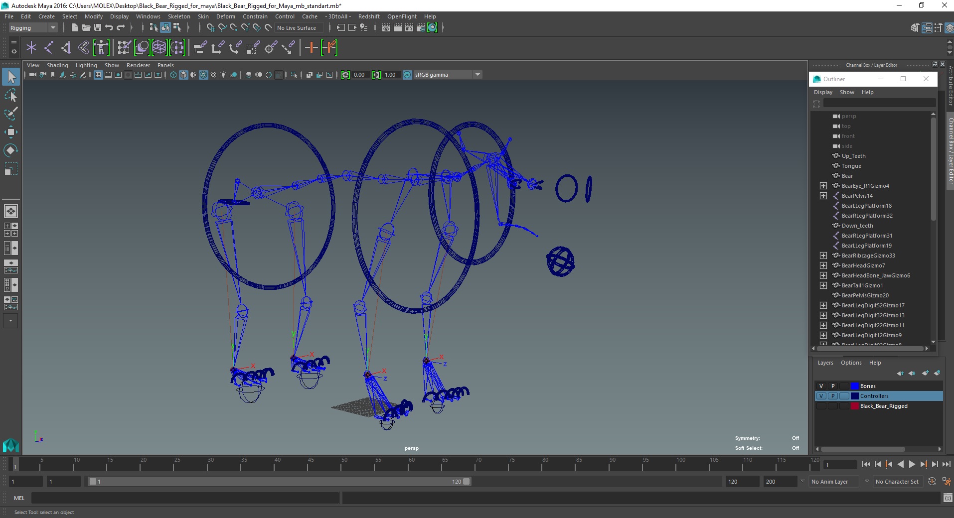 3D Black Bear Rigged for Maya