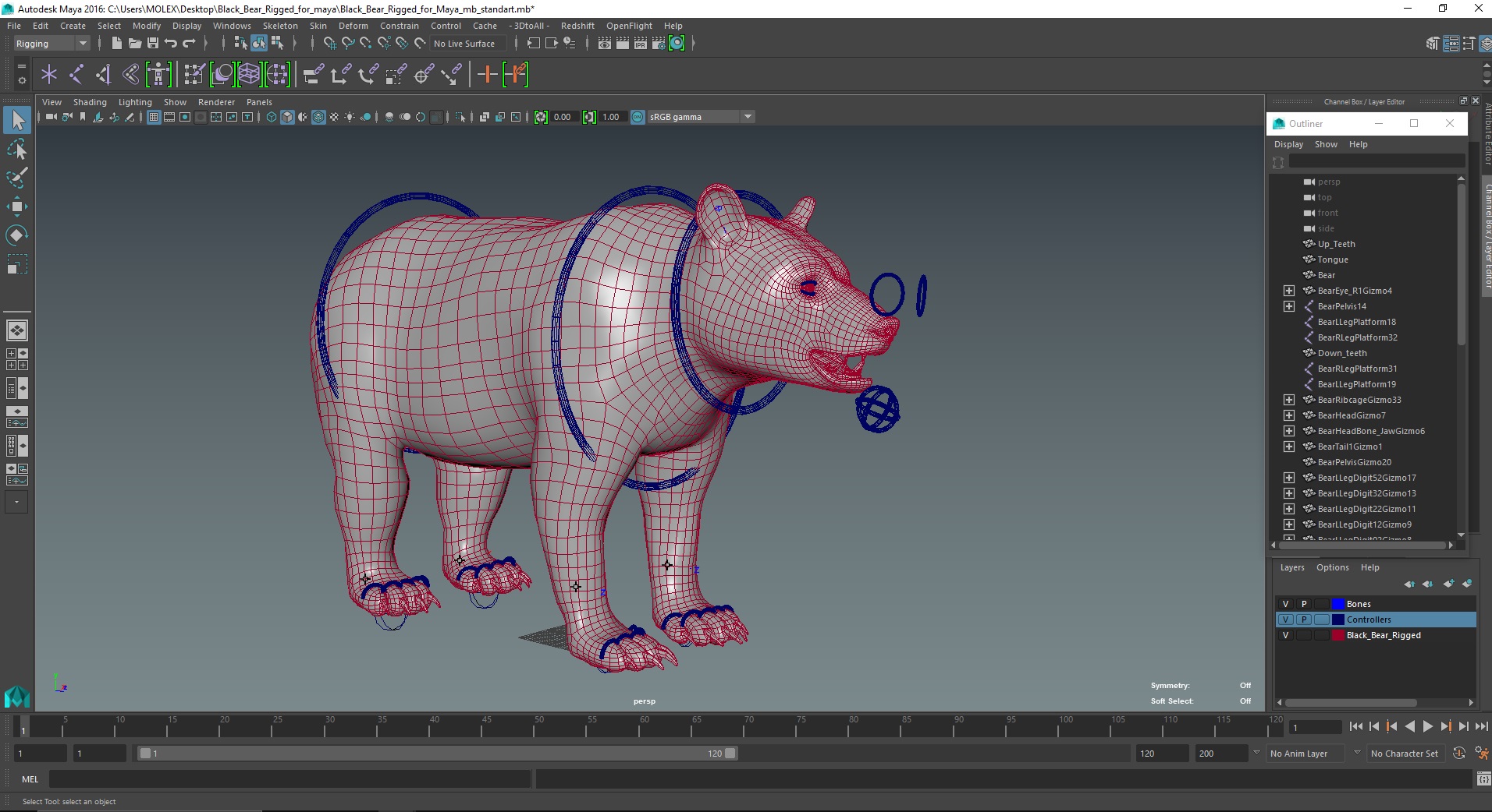 3D Black Bear Rigged for Maya