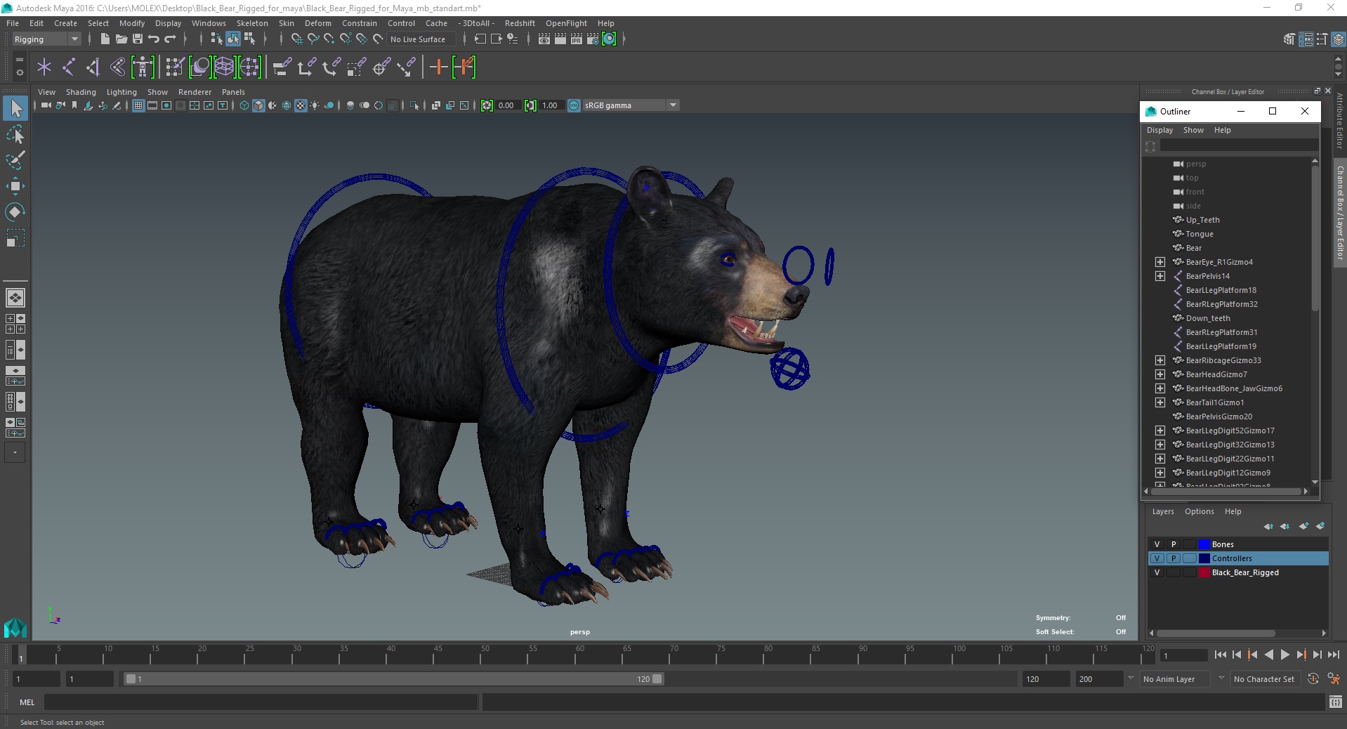 3D Black Bear Rigged for Maya