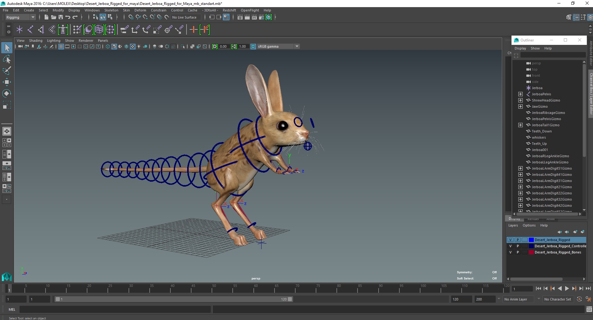Desert Jerboa Rigged for Maya 3D model