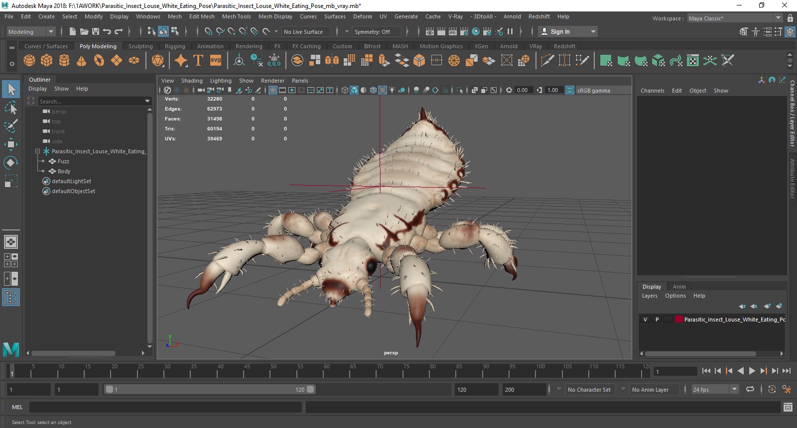 Parasitic Insect Louse White Eating Pose SSS 3D model
