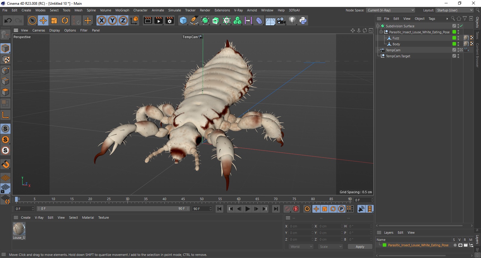 Parasitic Insect Louse White Eating Pose SSS 3D model