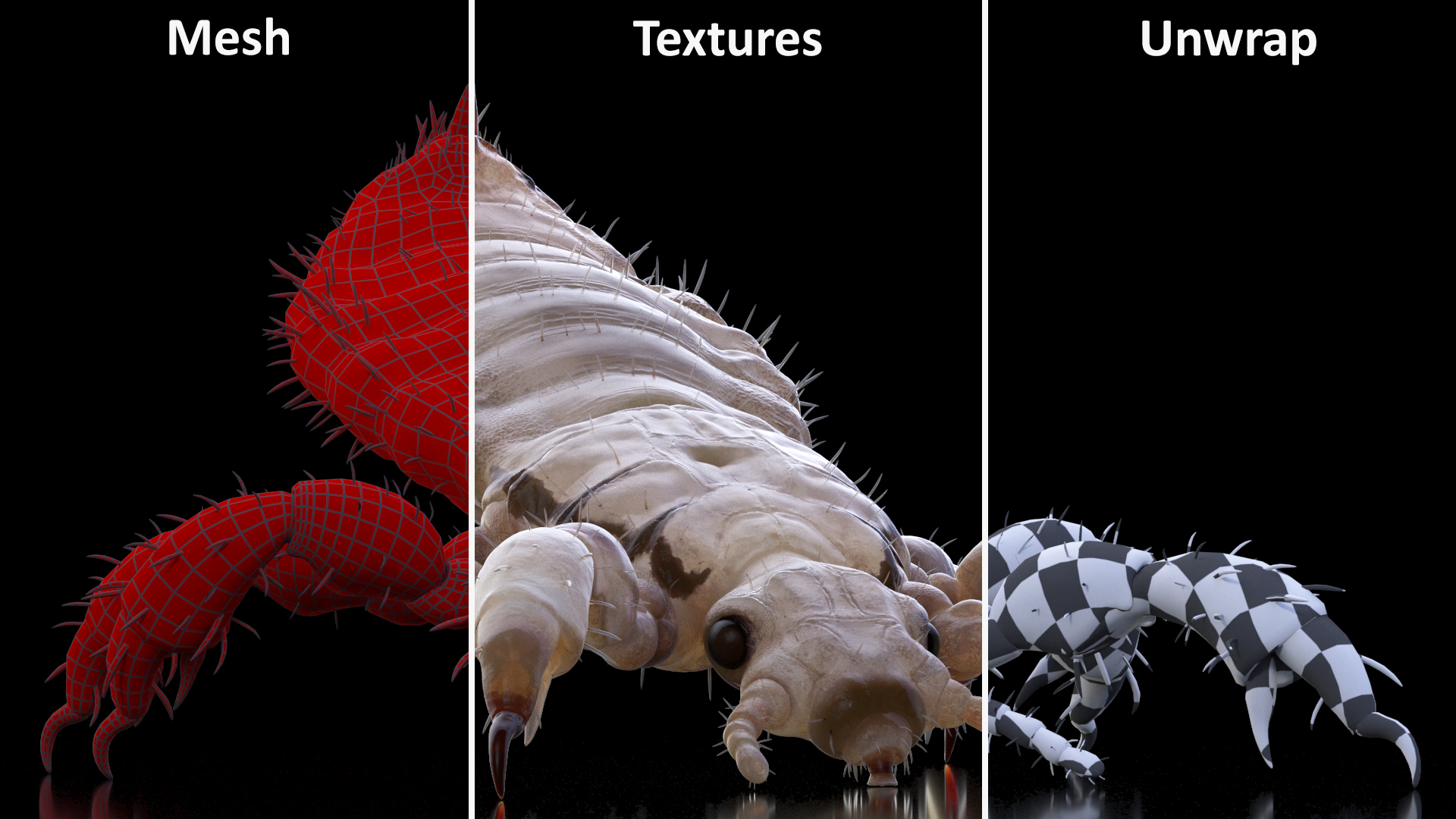 Parasitic Insect Louse White Eating Pose SSS 3D model