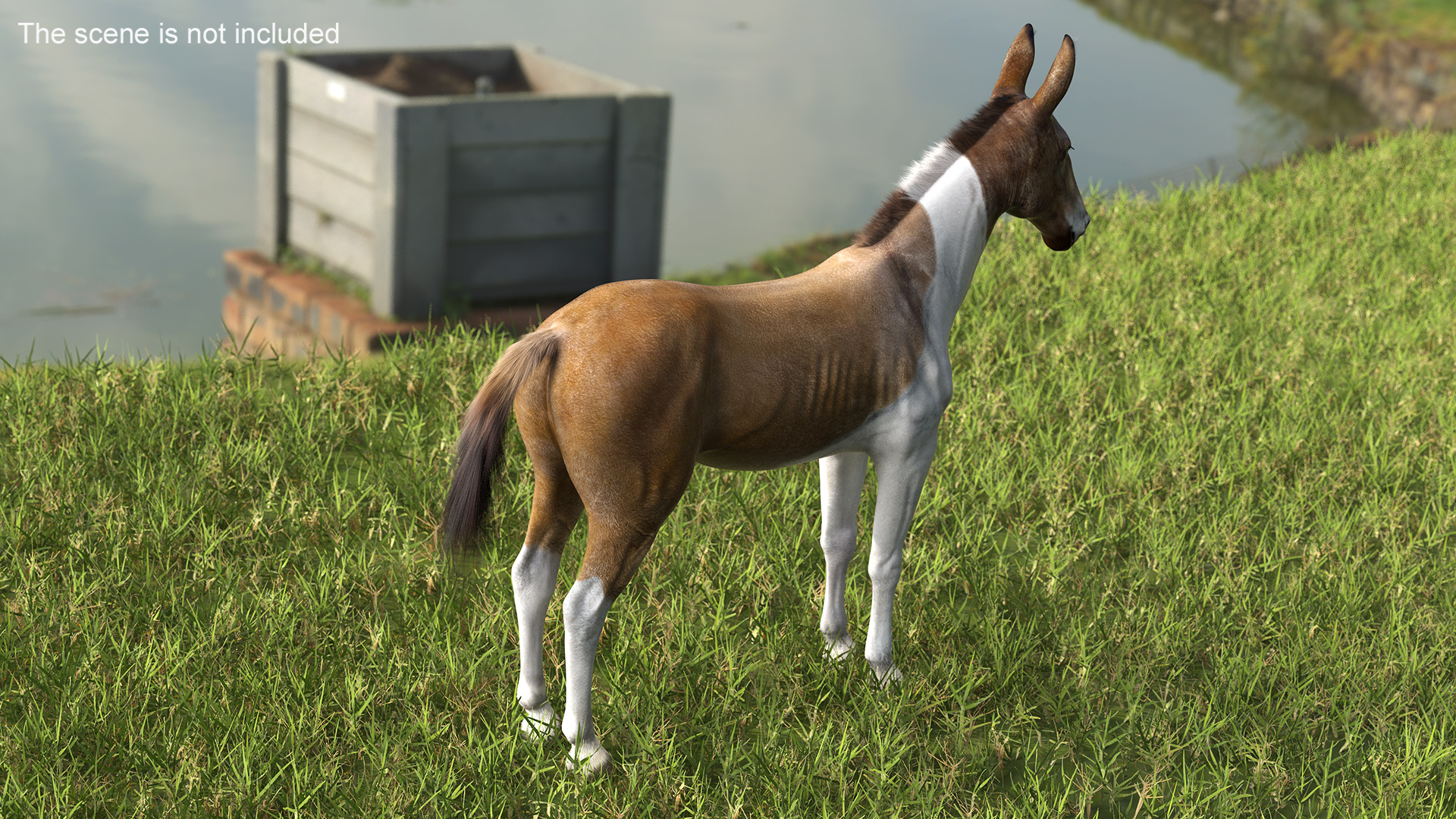 3D model Mule Fur