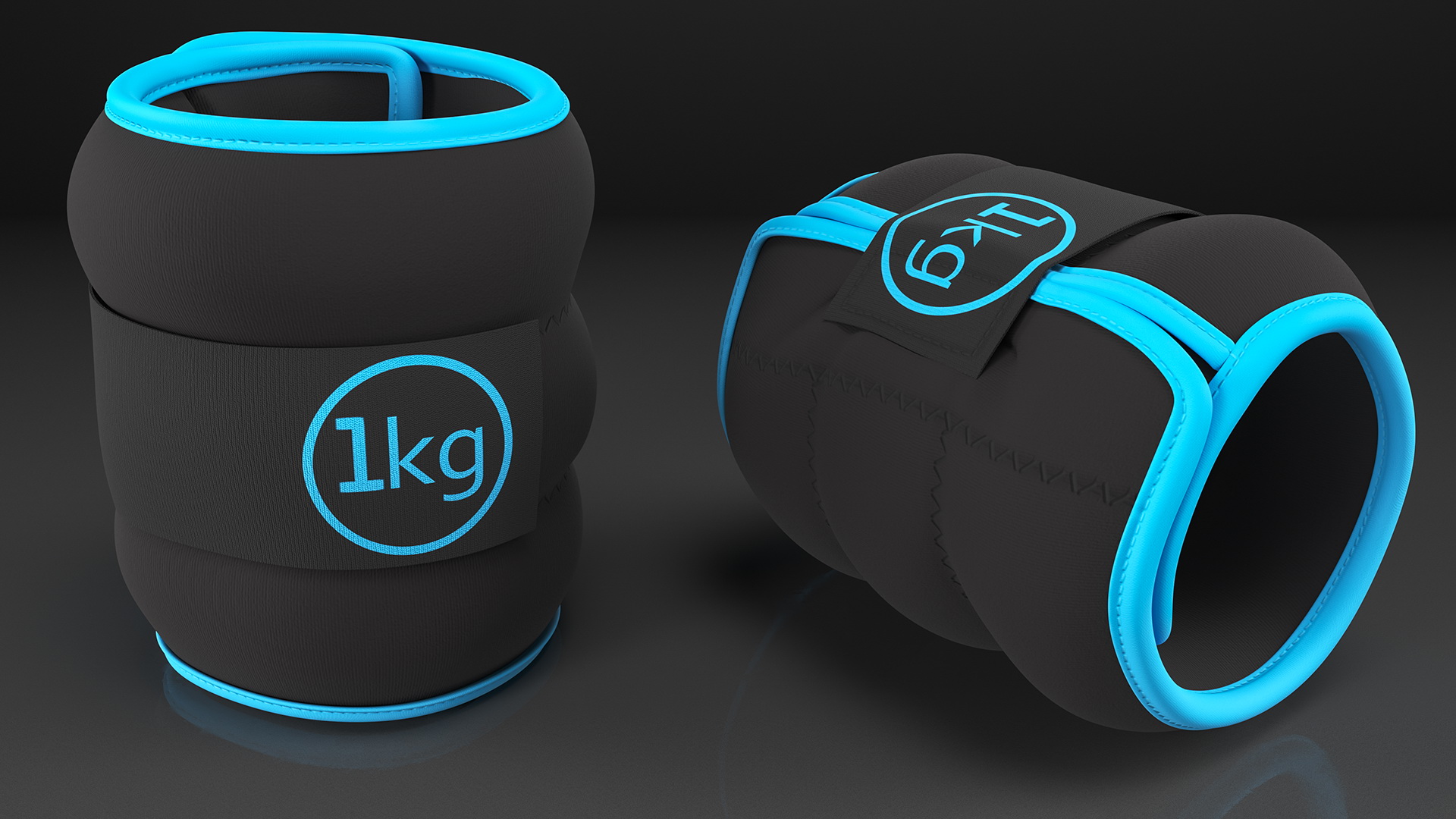 Adjustable Wrist and Ankle Weights 3D model