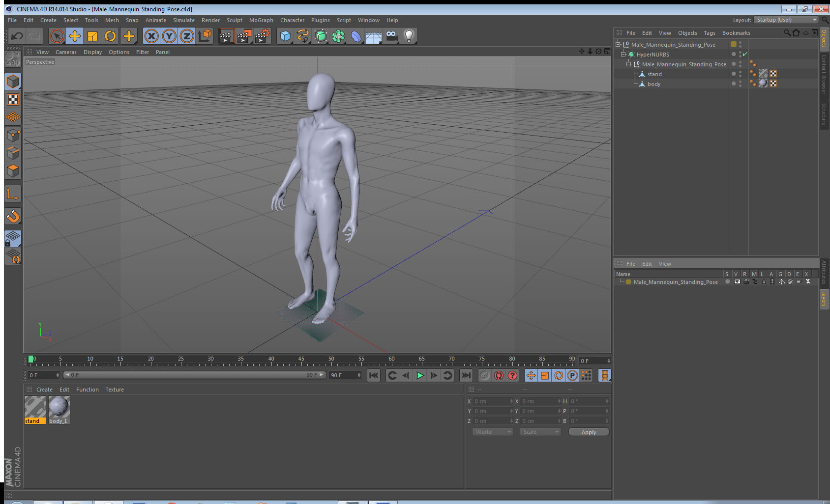 3D Male Mannequin Standing Pose model