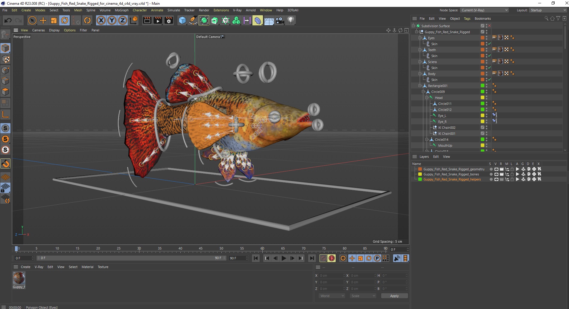 3D Guppy Fish Red Snake Rigged for Cinema 4D
