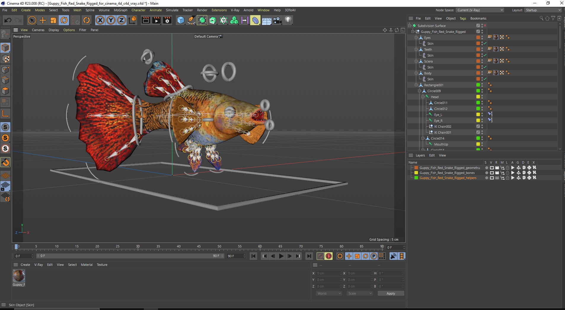 3D Guppy Fish Red Snake Rigged for Cinema 4D