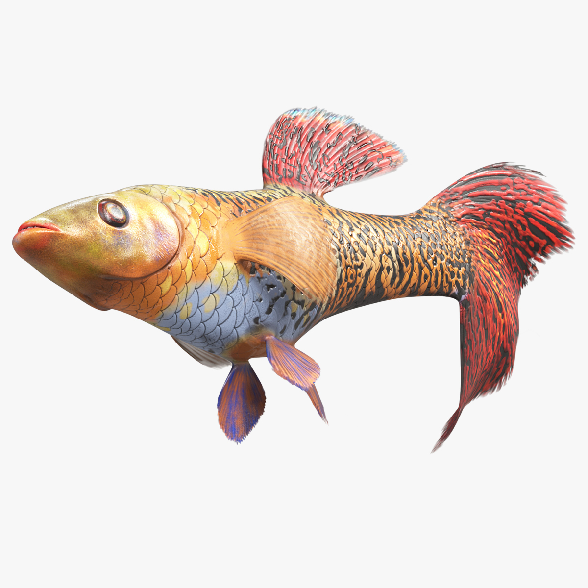 3D Guppy Fish Red Snake Rigged for Cinema 4D