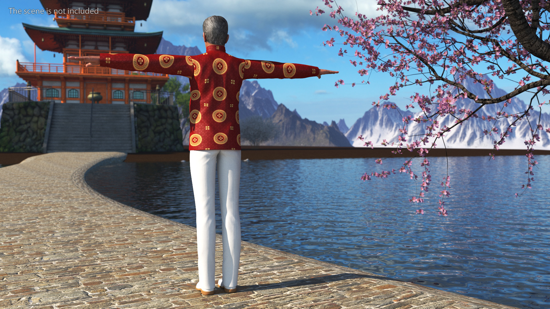 3D Chinese Elderly Man Traditional Style Rigged for Maya model