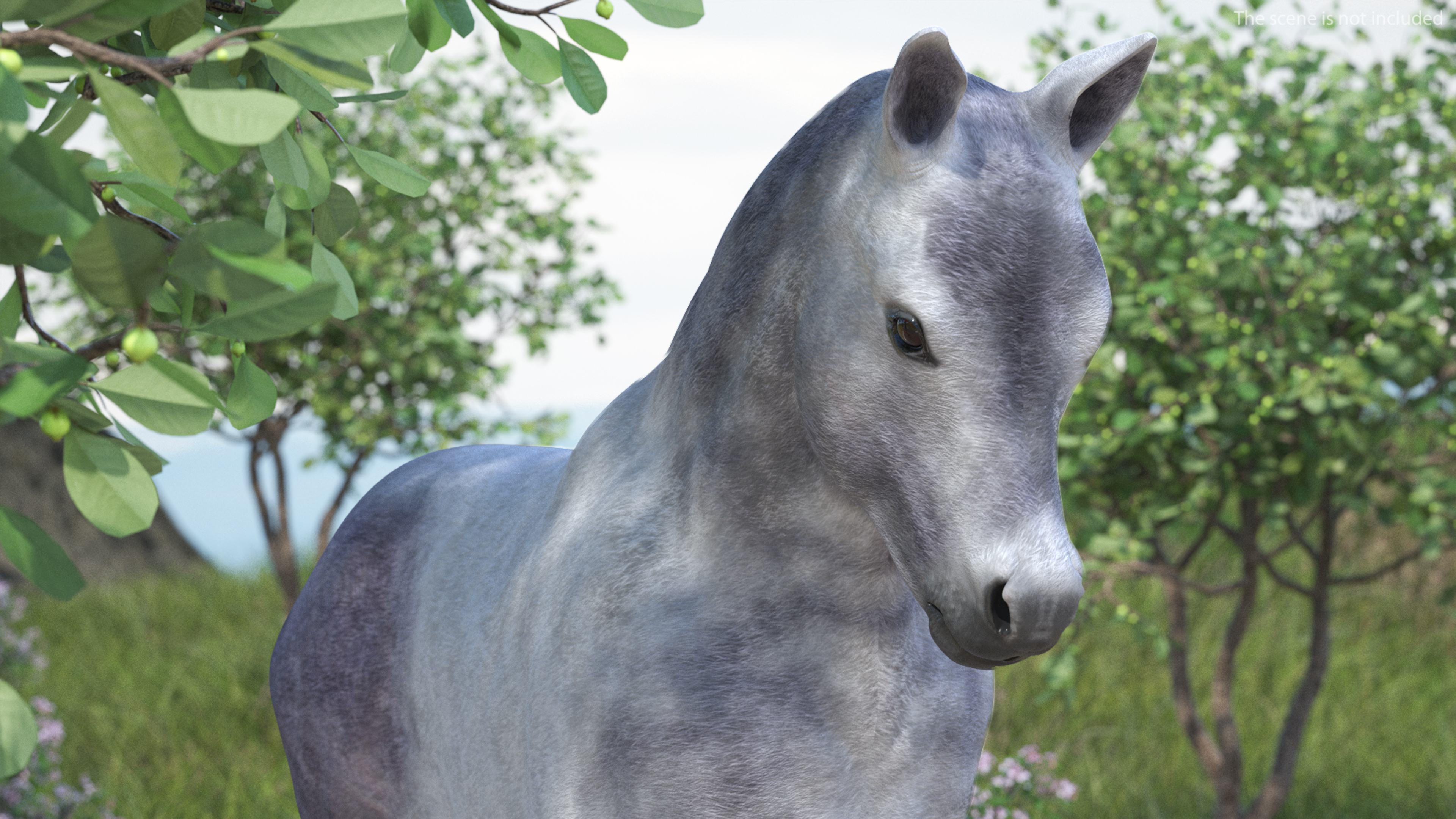 Running Shetland Pony White 3D