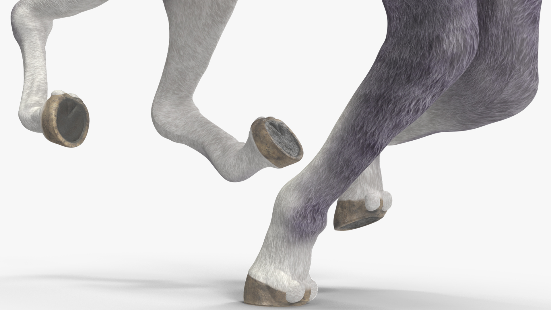 Running Shetland Pony White 3D