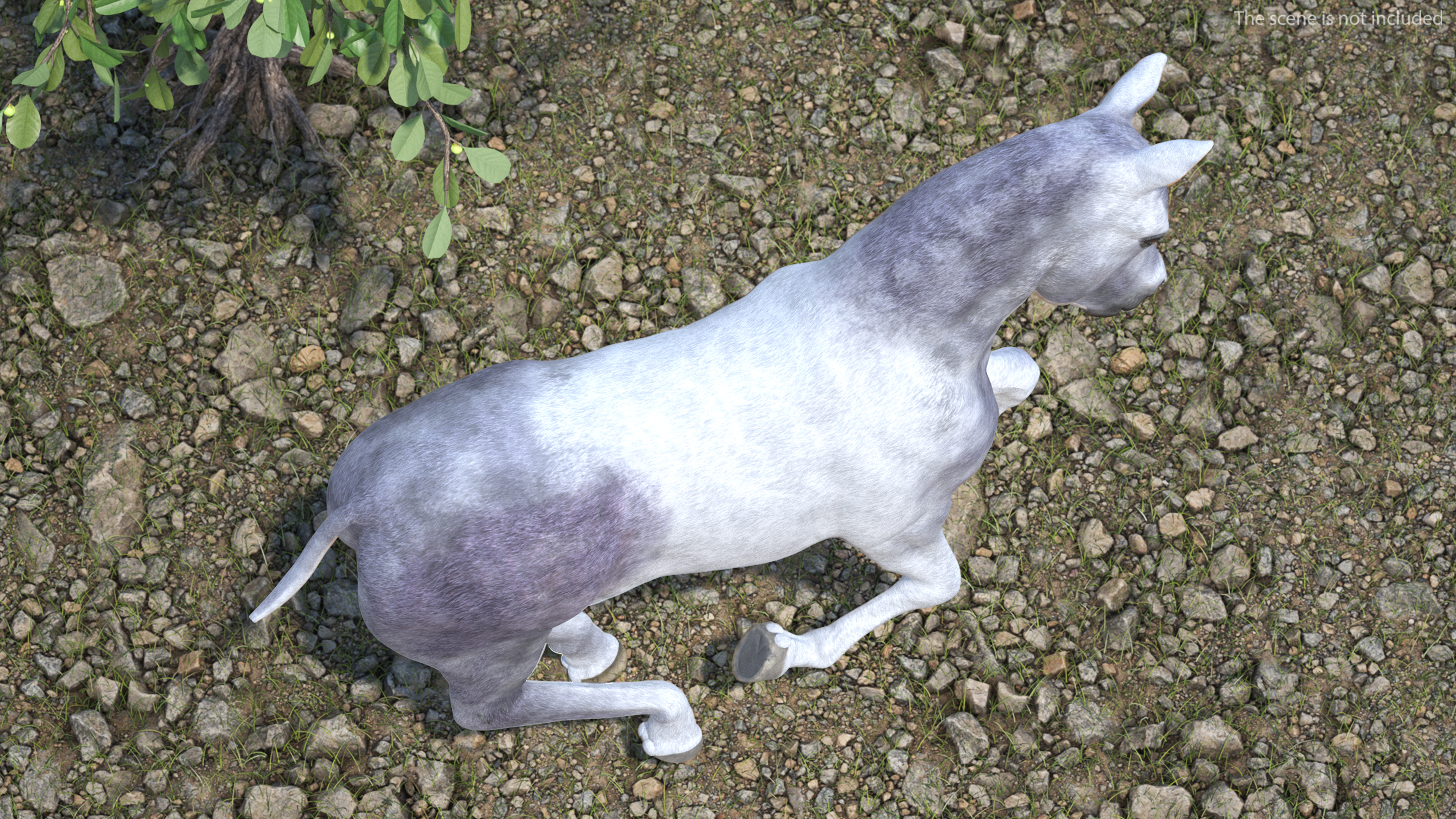 Running Shetland Pony White 3D