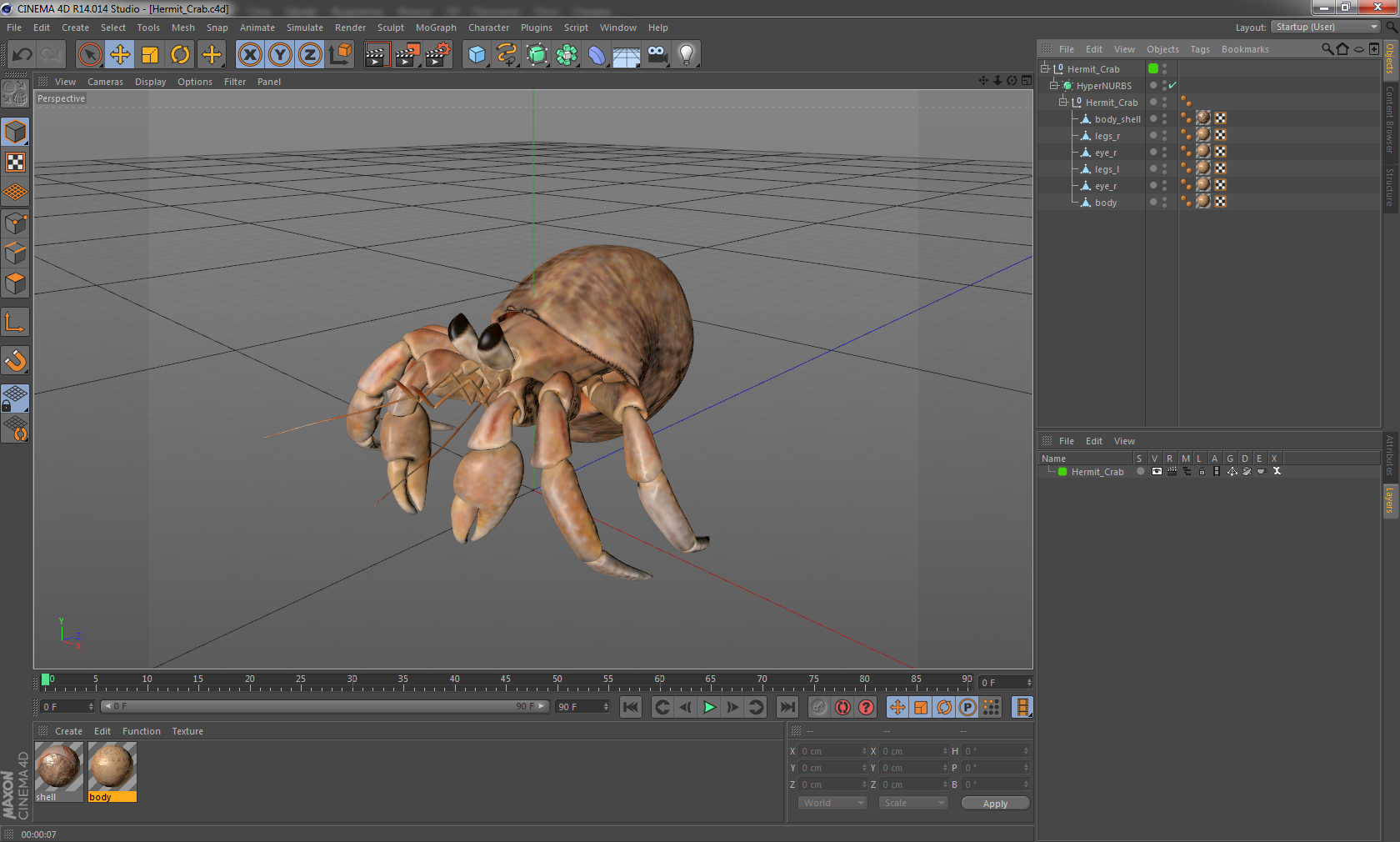 3D Hermit Crab