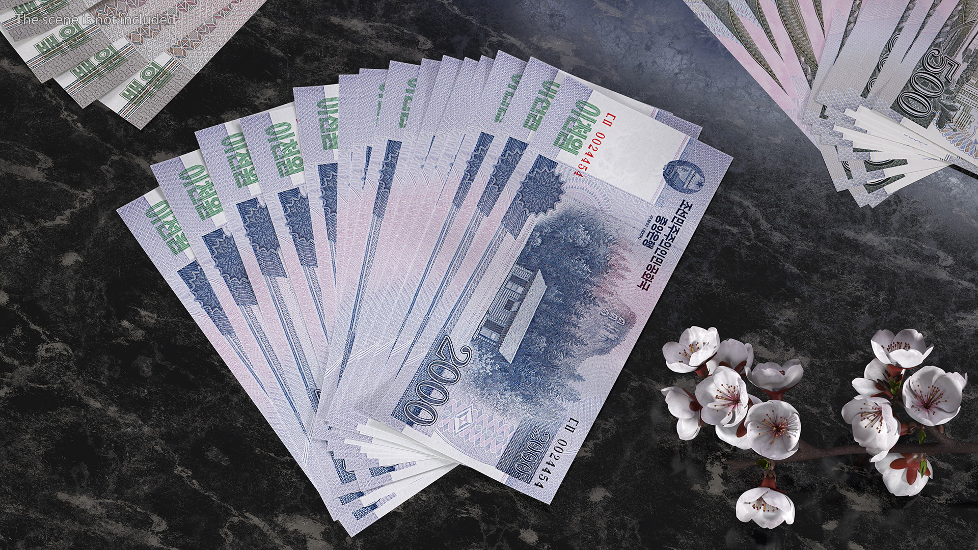 Fan of North Korea 2000 Won Banknotes 3D