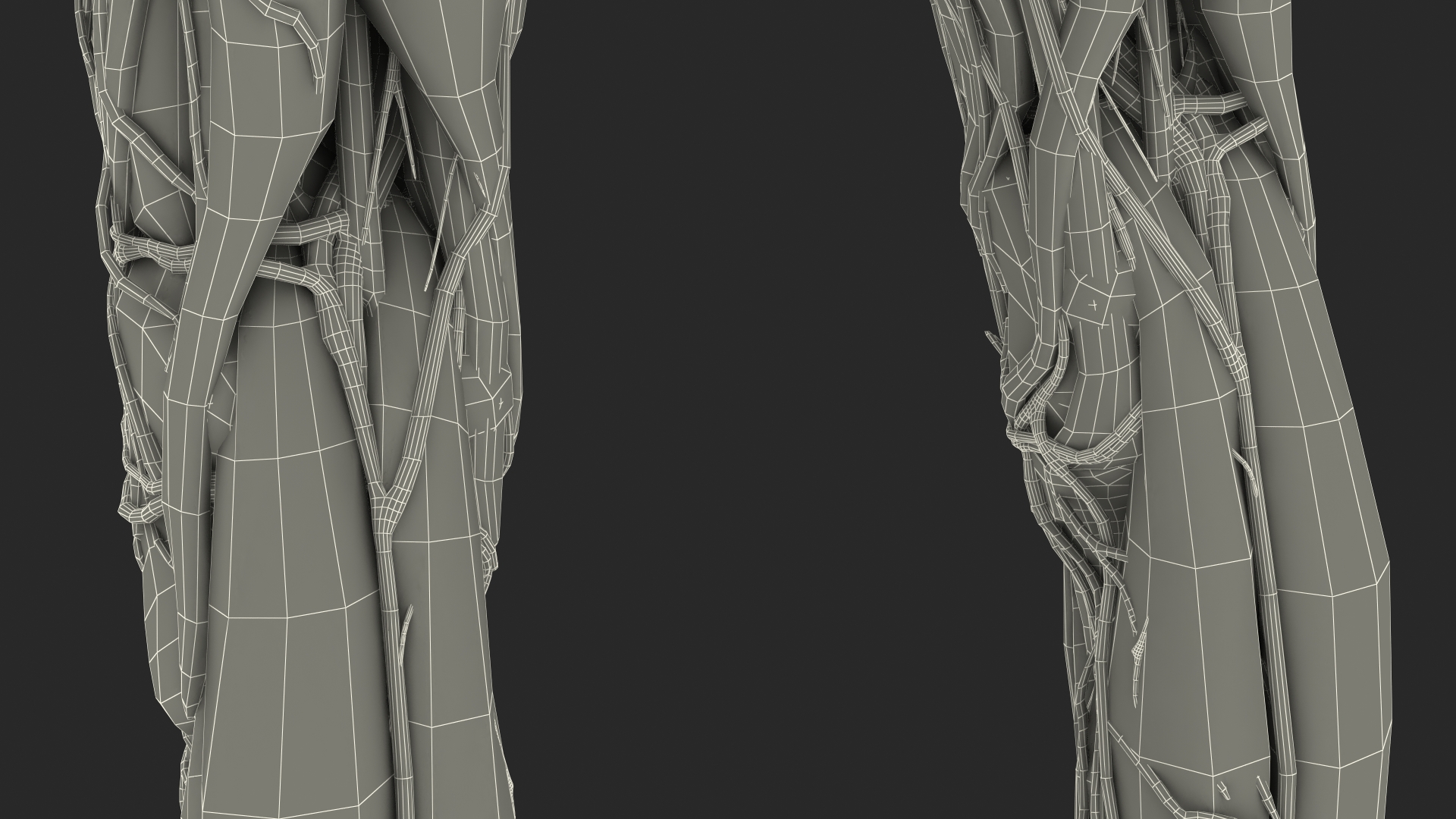 3D Young Man Full Body Anatomy Skinless