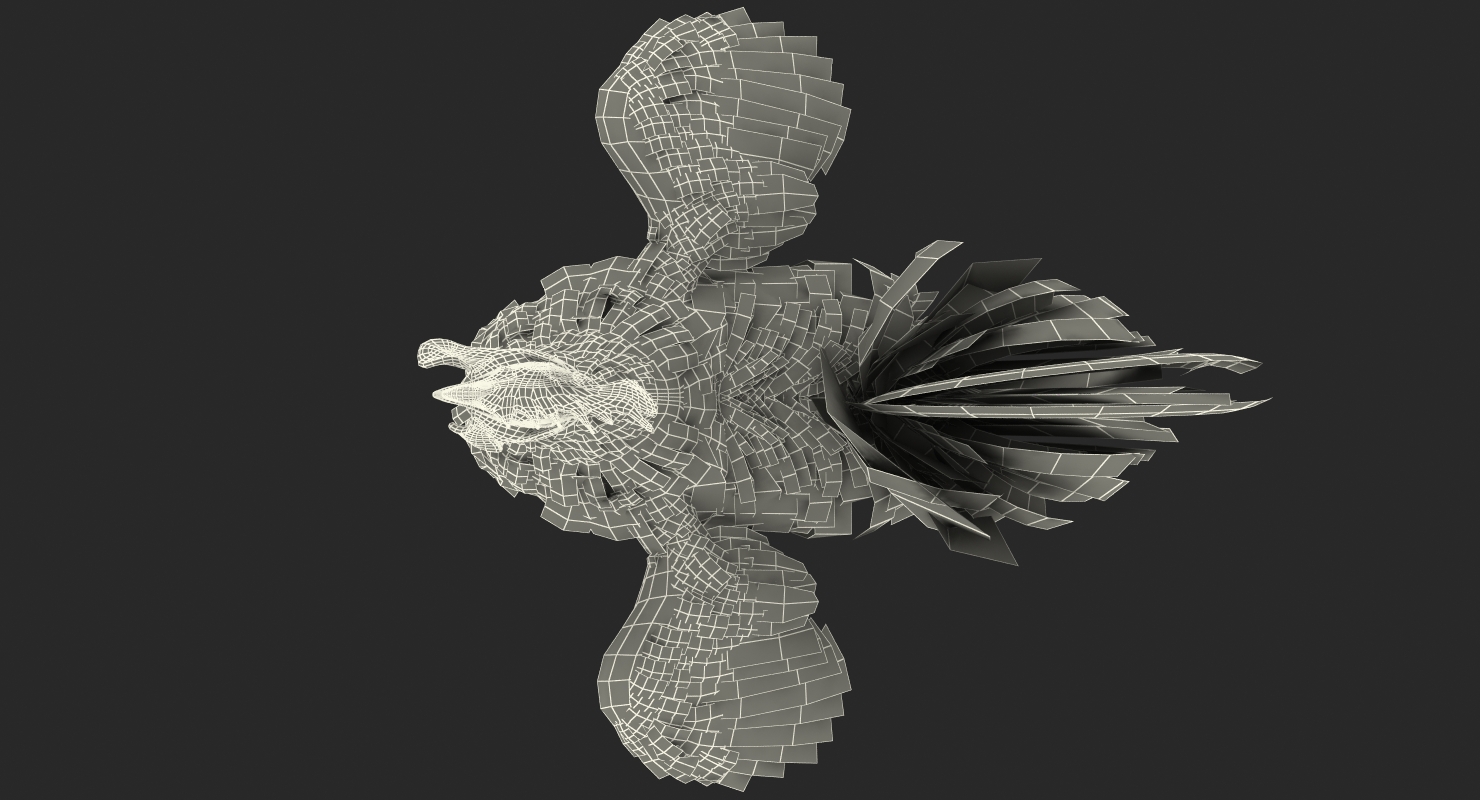 3D model Cock Crows