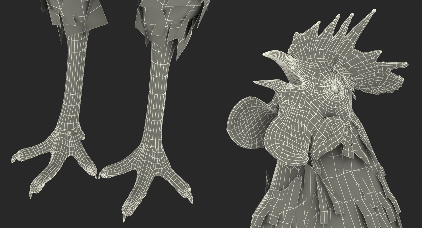 3D model Cock Crows
