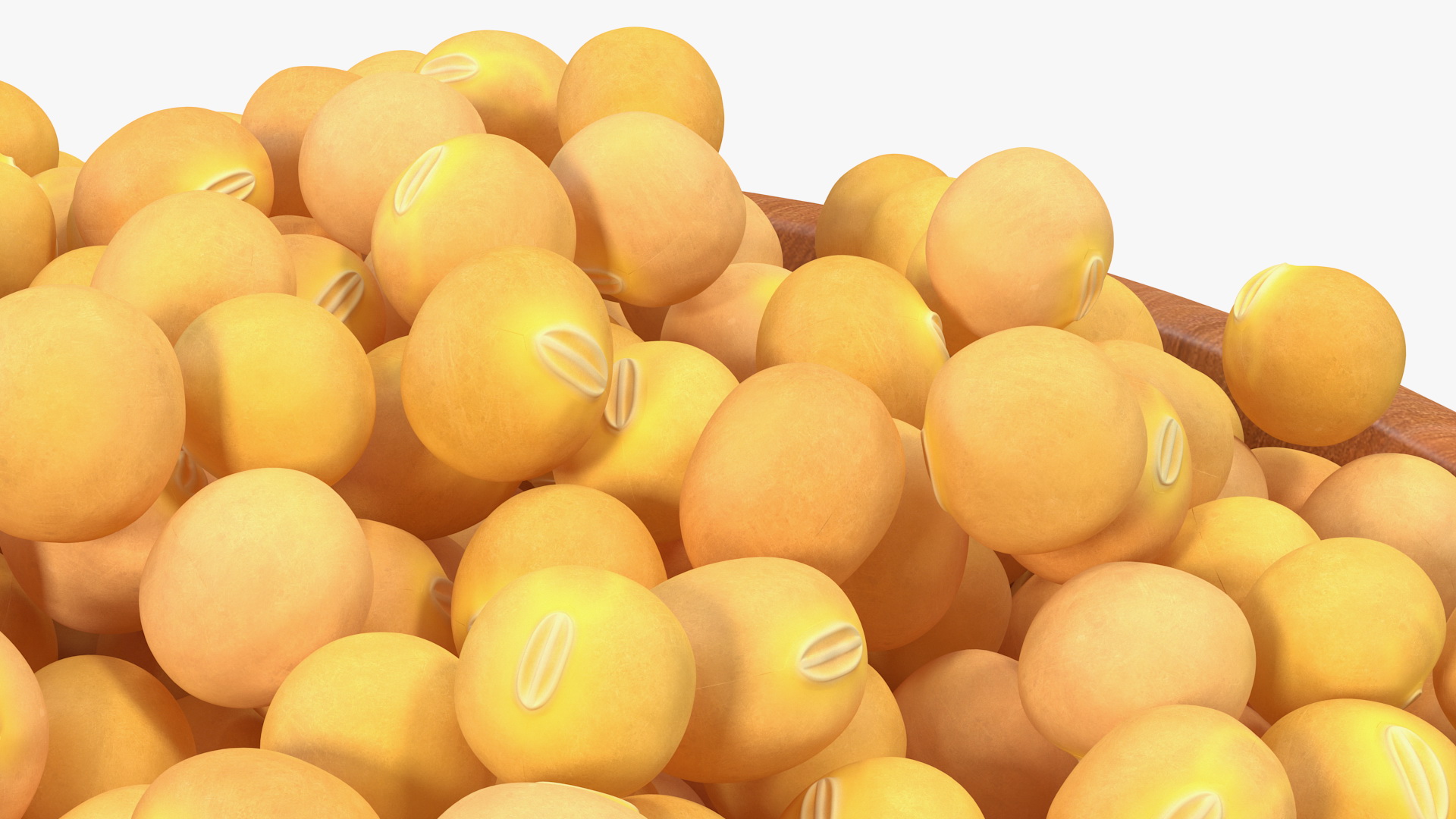 Soybean in Wooden Bowl 3D