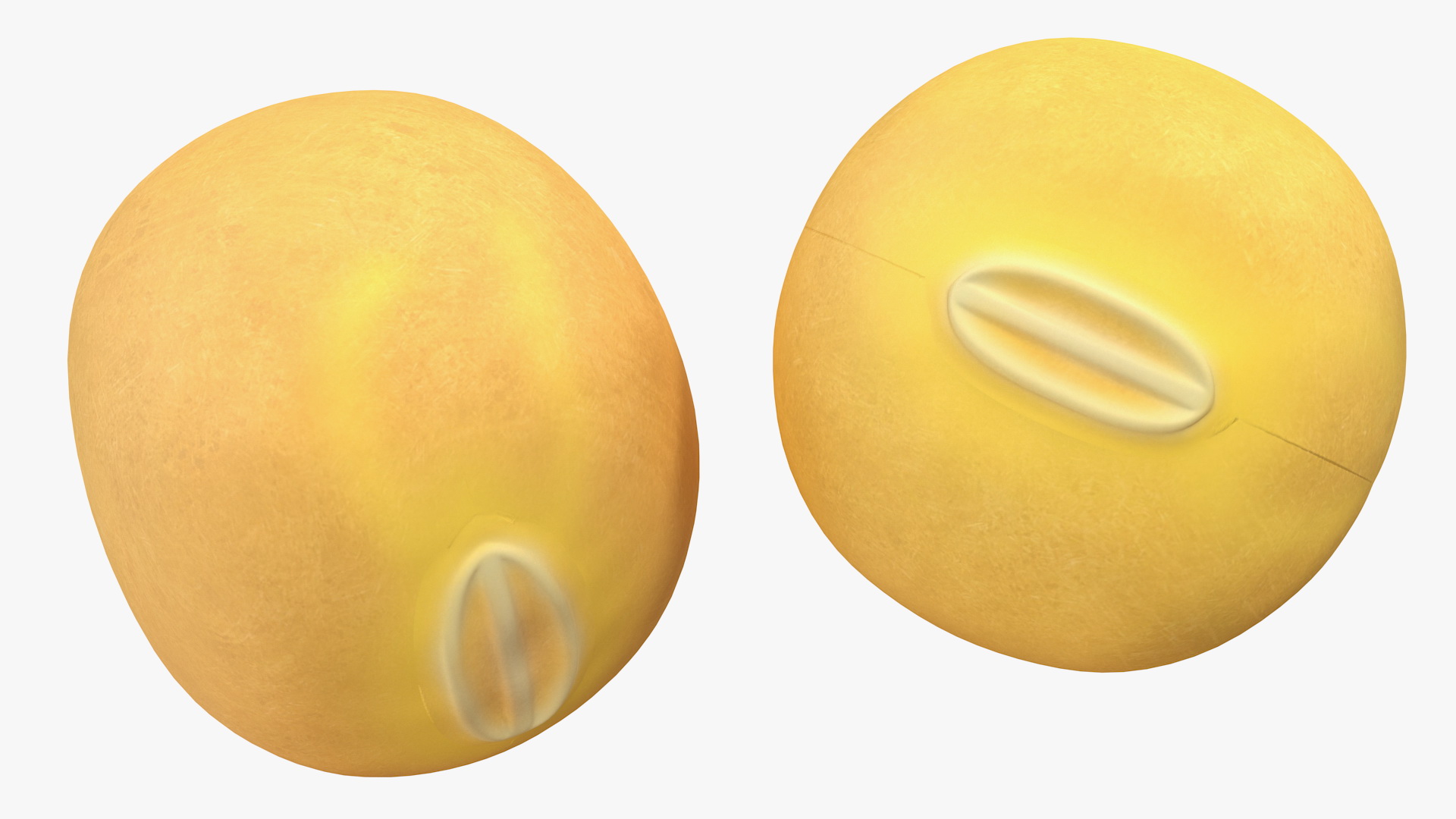 Soybean in Wooden Bowl 3D