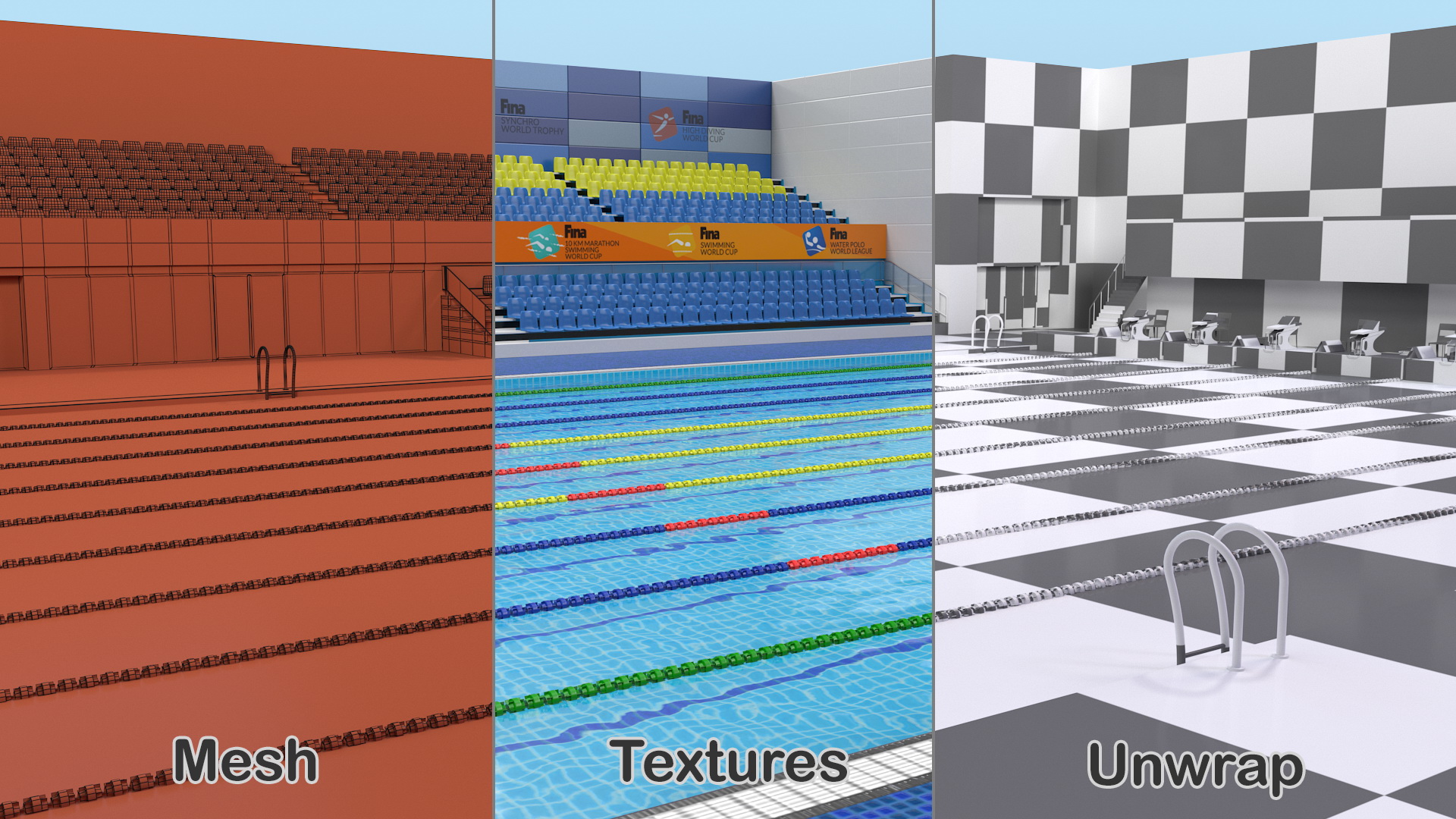 3D Olympic Swimming Pool FINA Standards
