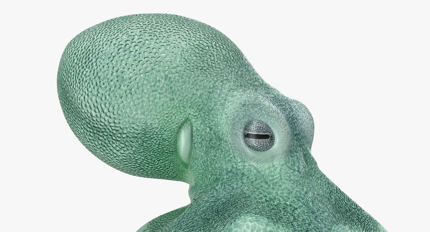 3D model Blue Octopus Swiming Pose