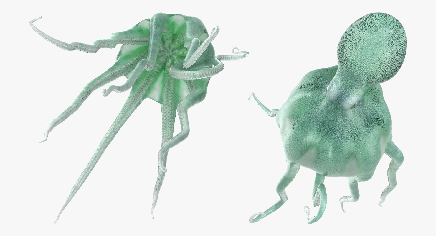 3D model Blue Octopus Swiming Pose