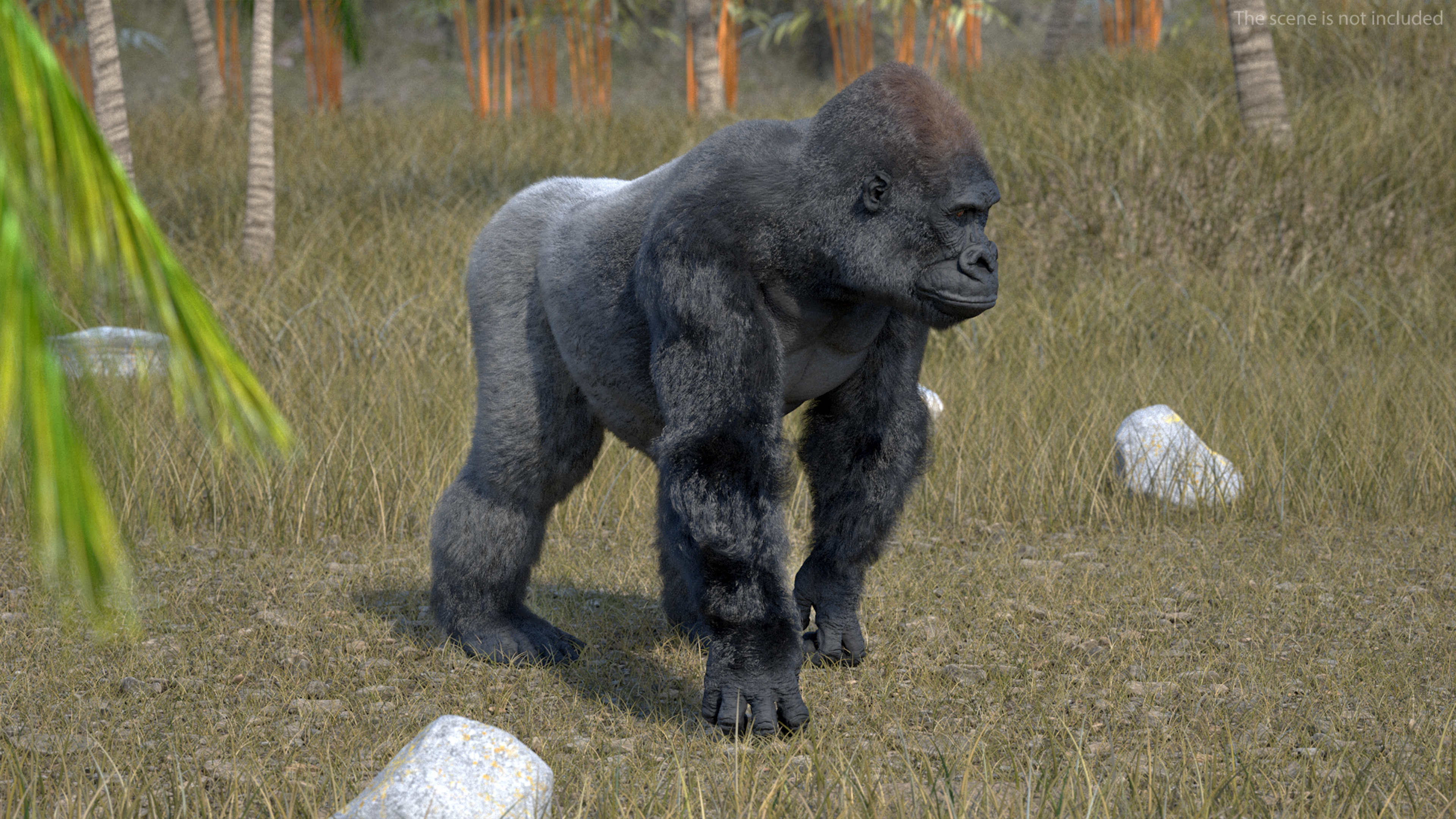 3D Gorilla Fur Rigged model