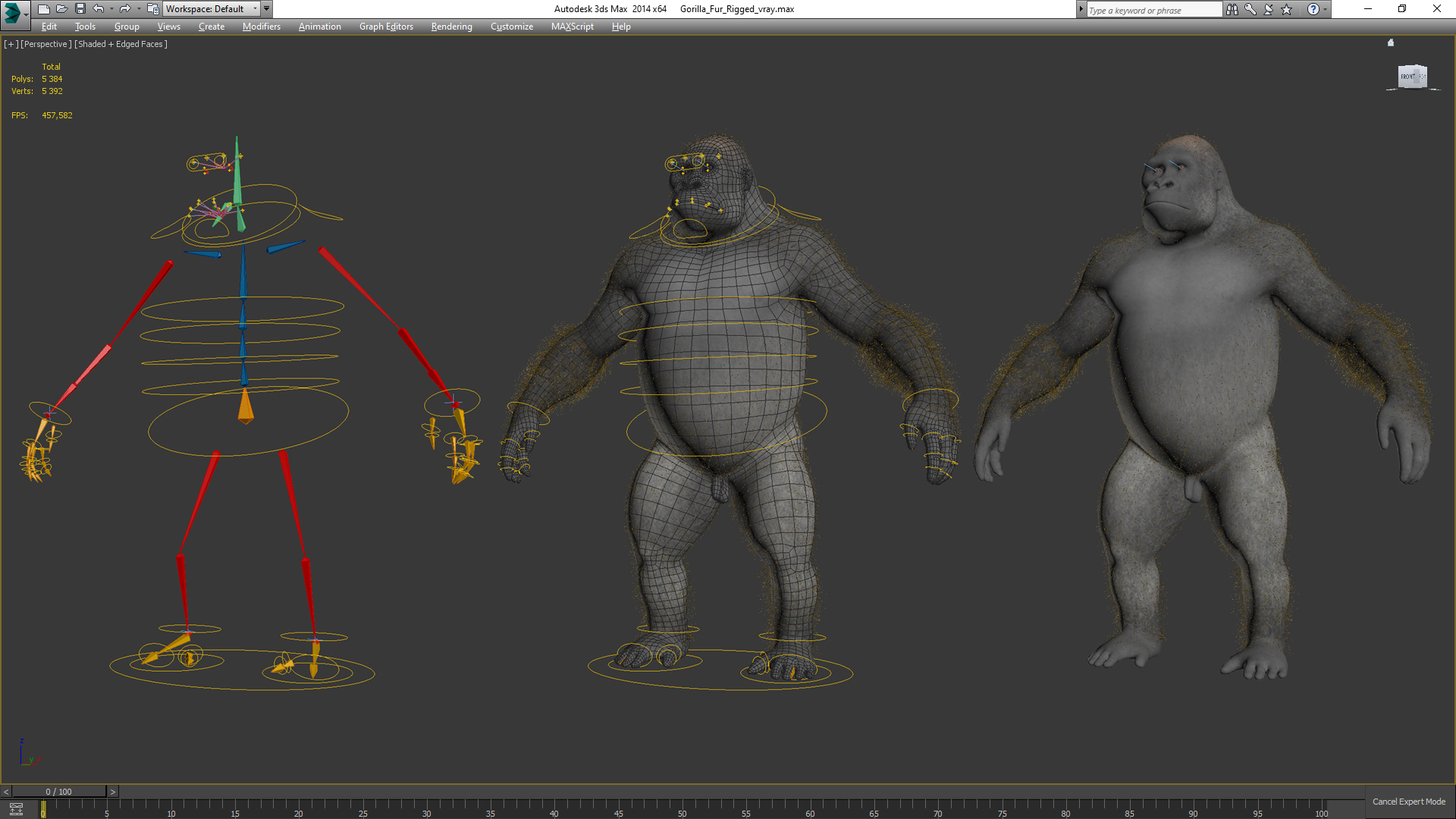 3D Gorilla Fur Rigged model
