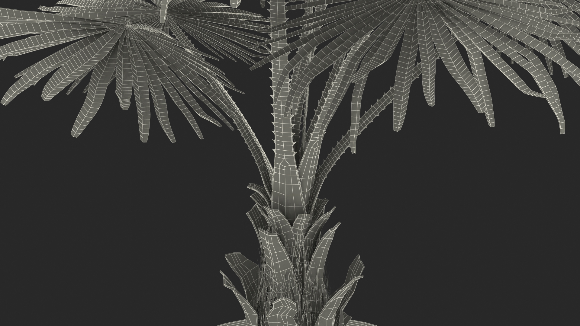 3D model Washingtonia Robusta Pot Plant