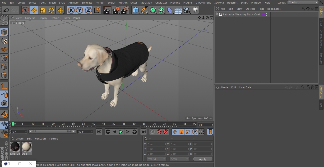 Labrador Wearing Black Coat 3D