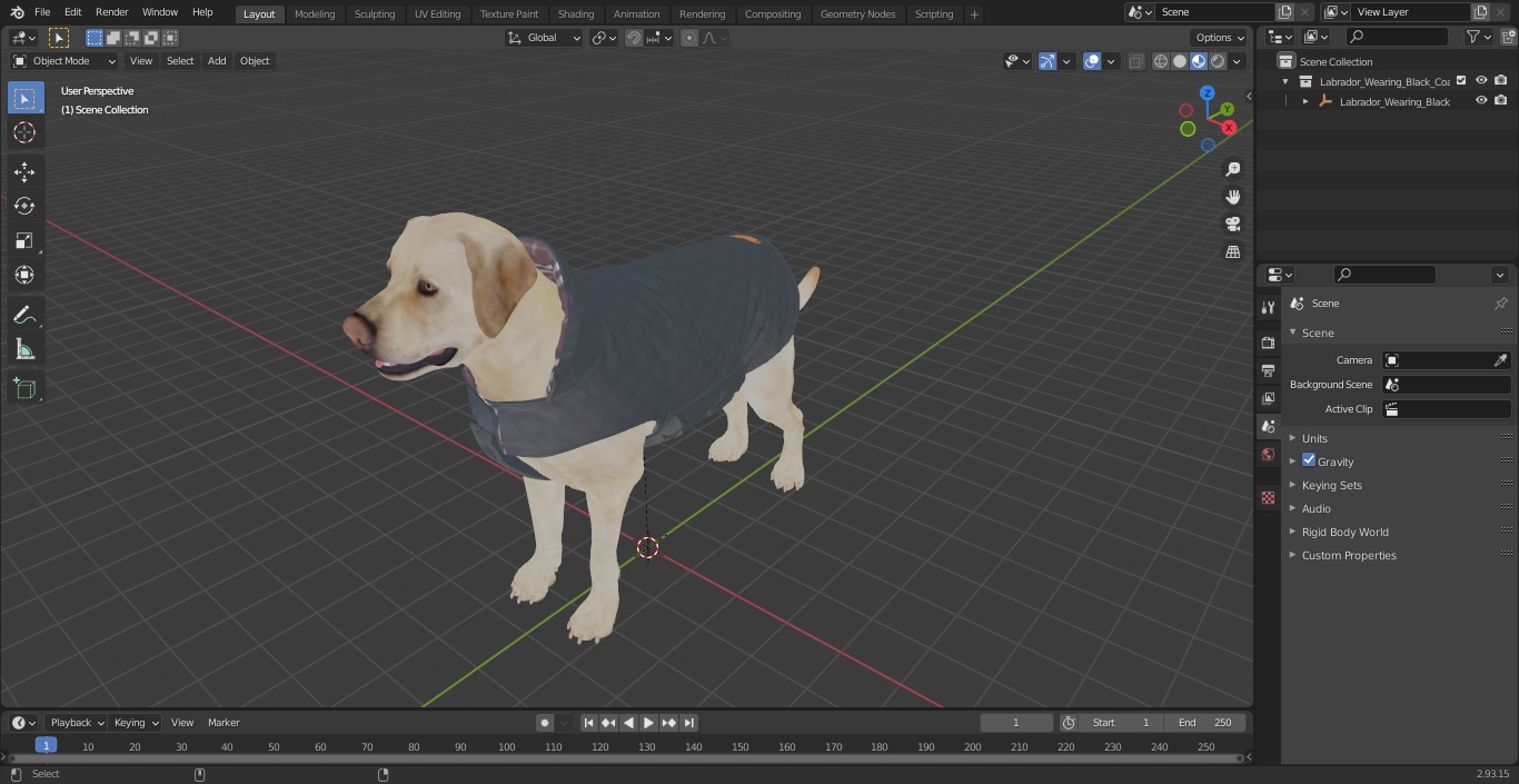 Labrador Wearing Black Coat 3D