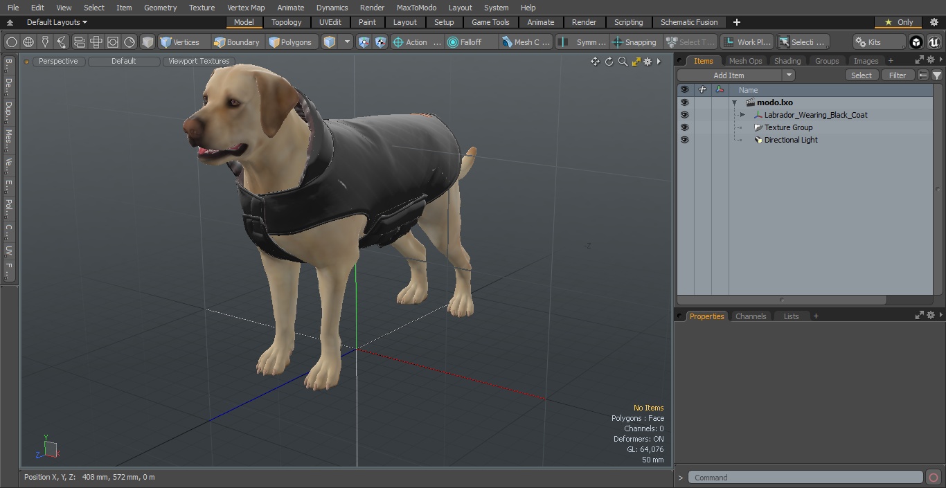 Labrador Wearing Black Coat 3D