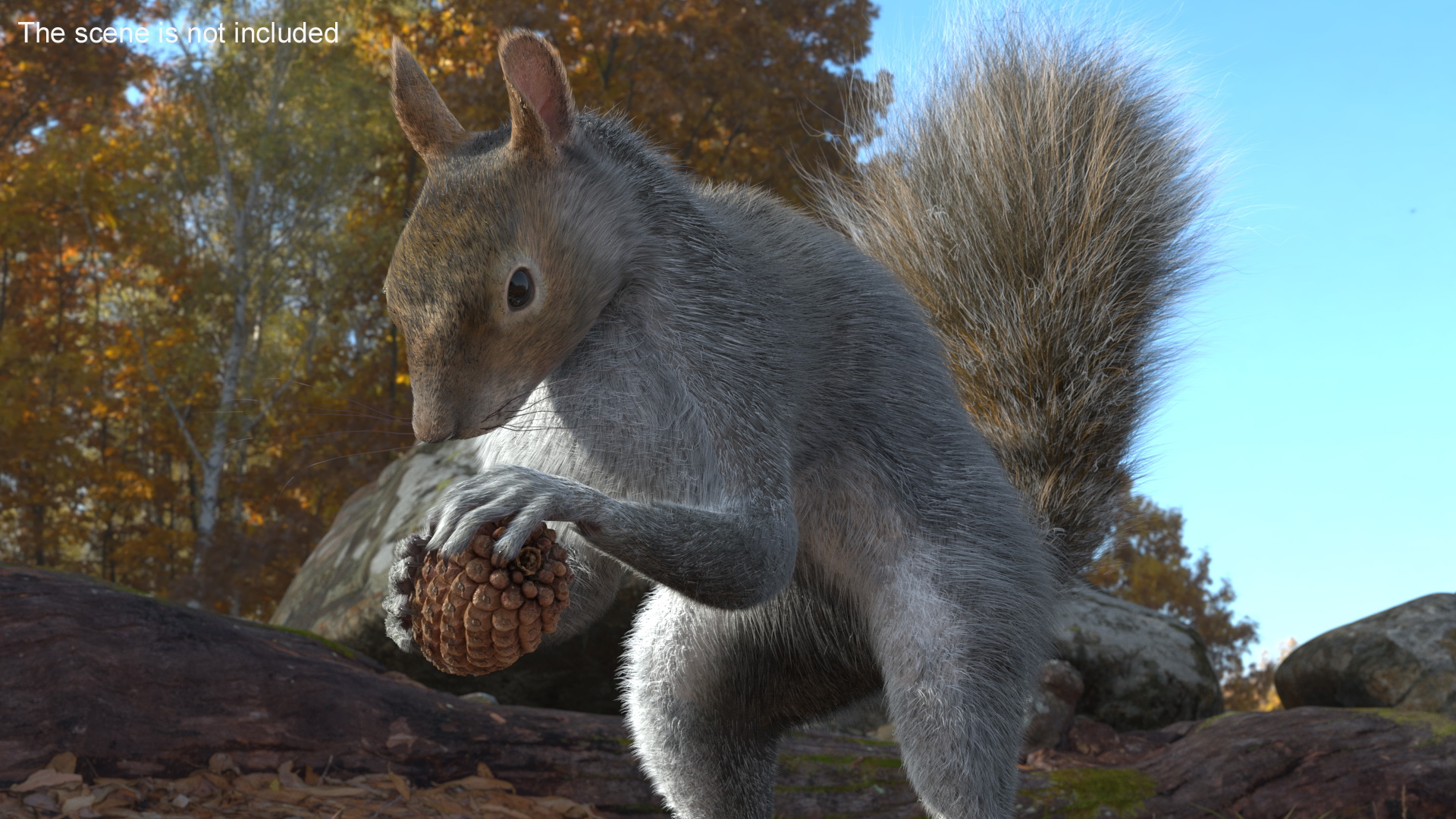 Squirrel with Pine Cone Fur 3D