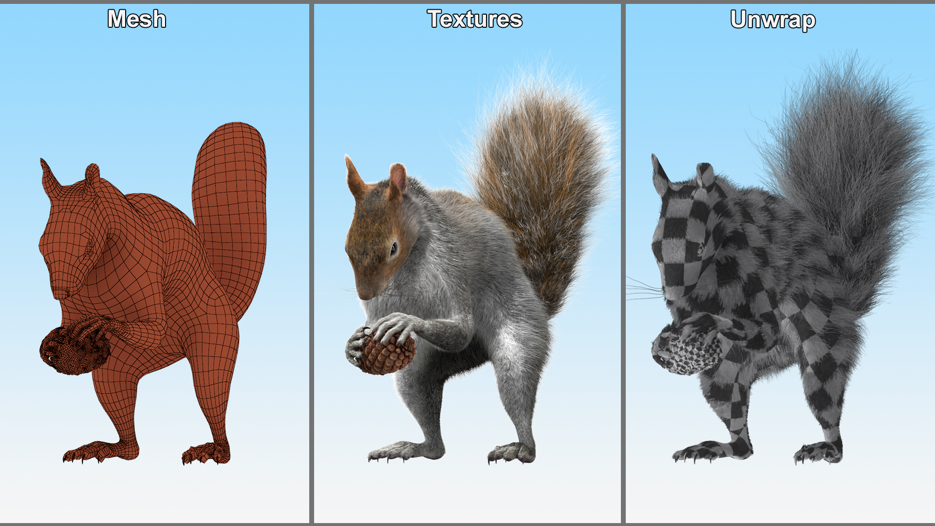 Squirrel with Pine Cone Fur 3D