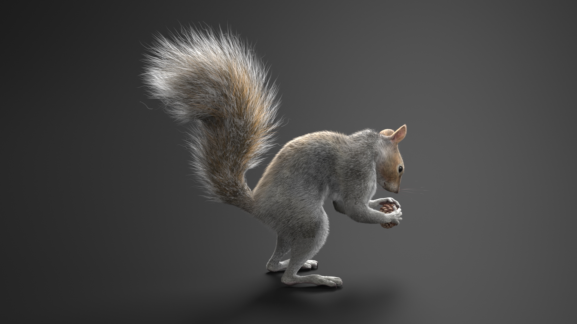 Squirrel with Pine Cone Fur 3D