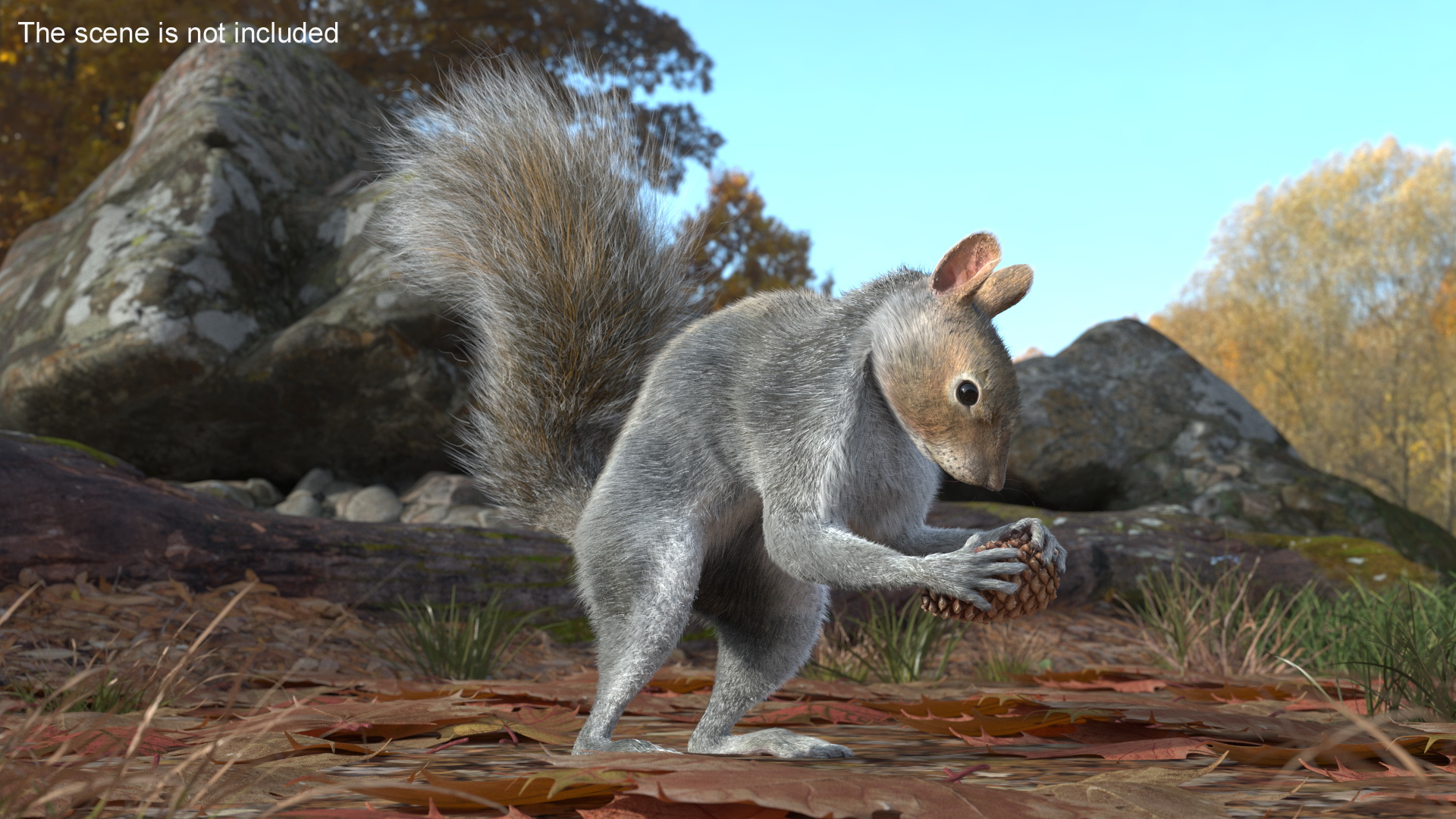 Squirrel with Pine Cone Fur 3D