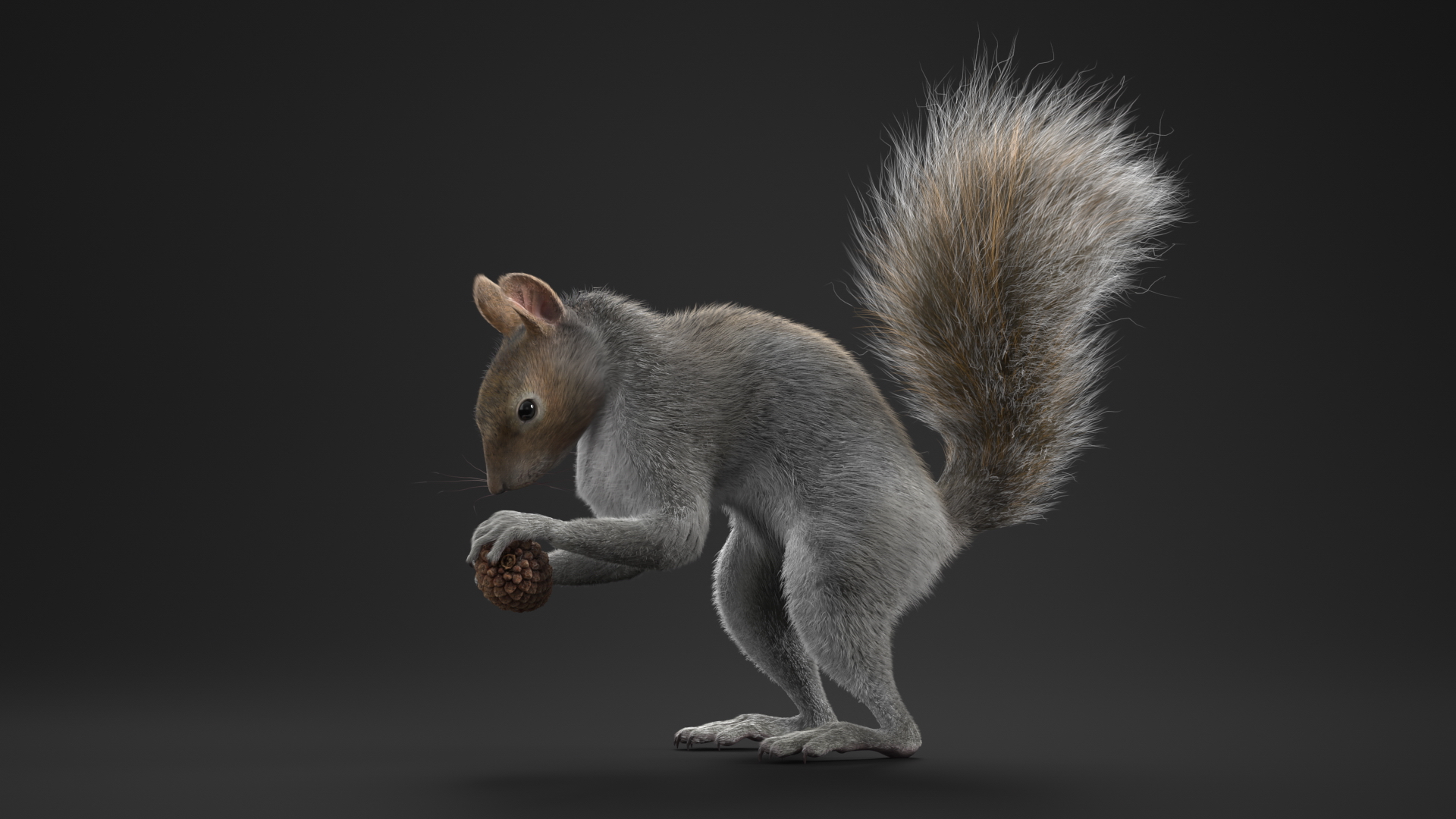 Squirrel with Pine Cone Fur 3D