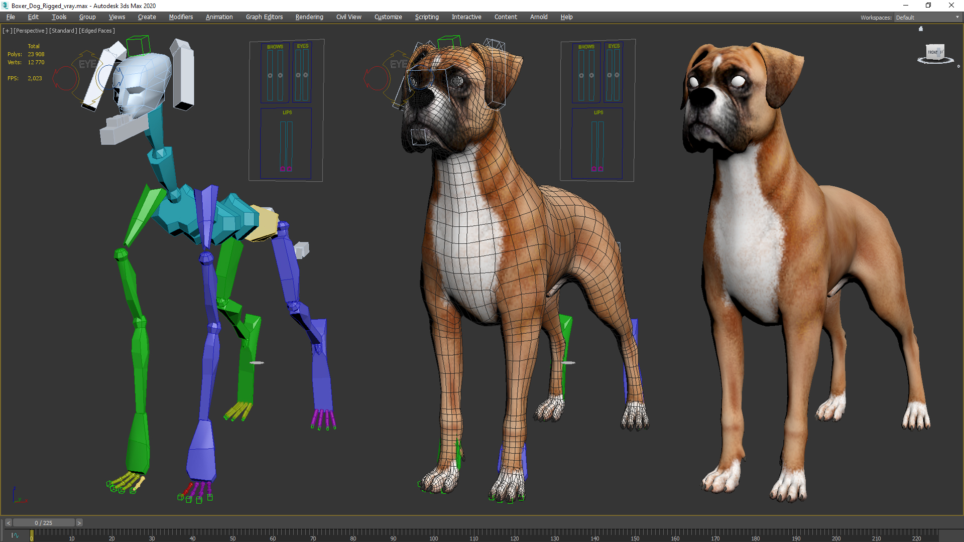 3D Boxer Dog Rigged