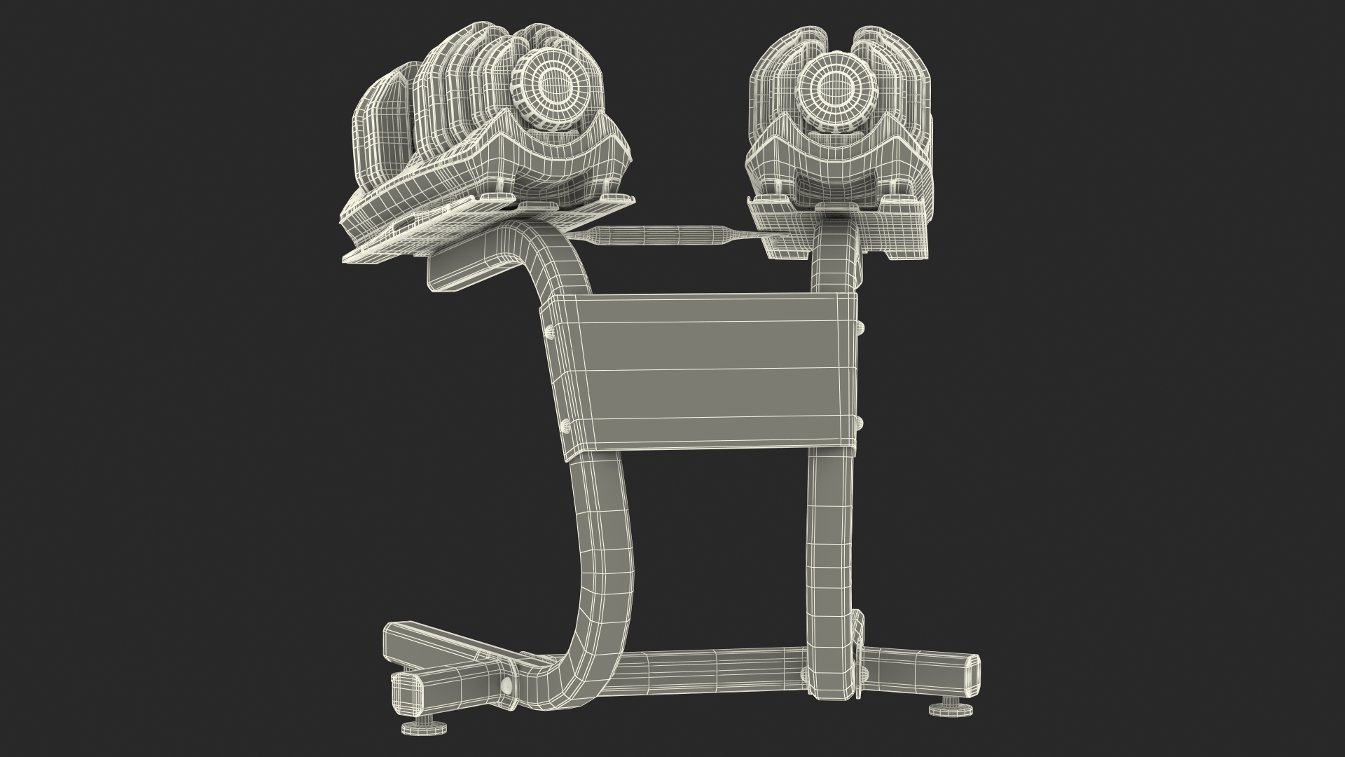 Fast Adjusting Dial Dumbbell with Rack Set 3D