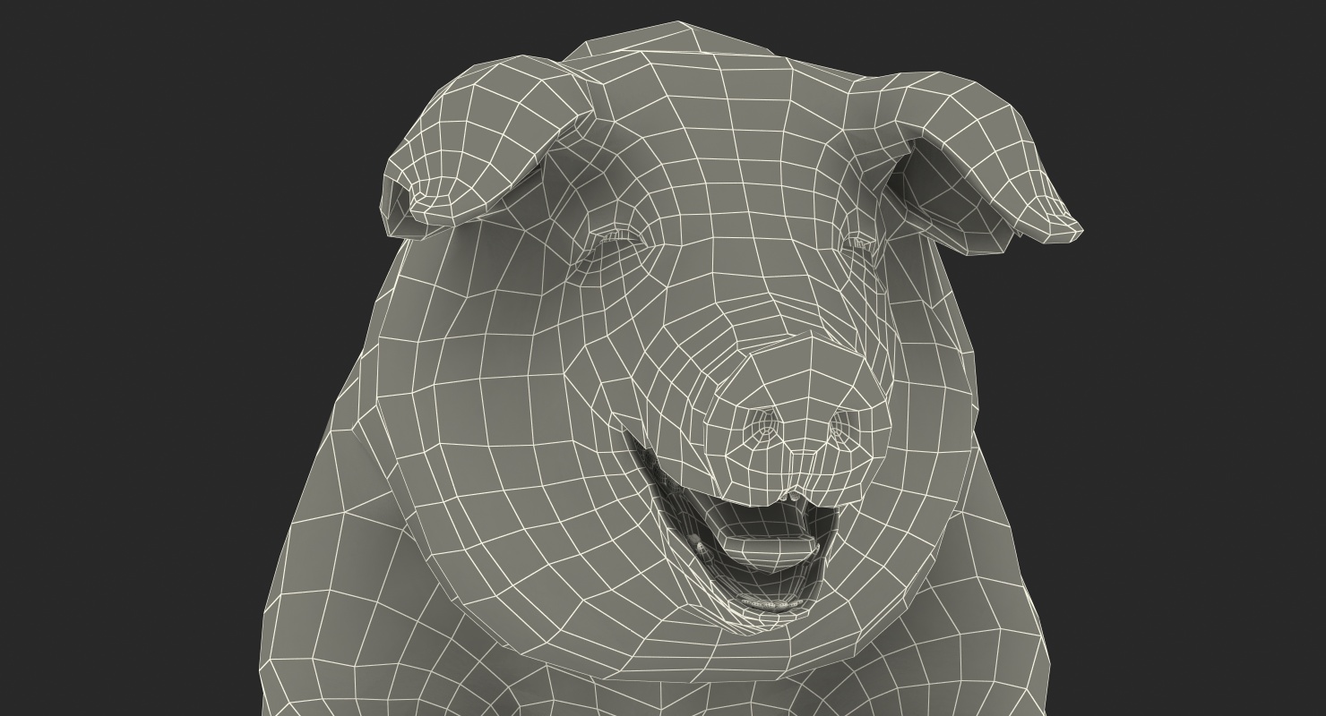 3D model Pig Sow Landrace Standing Pose