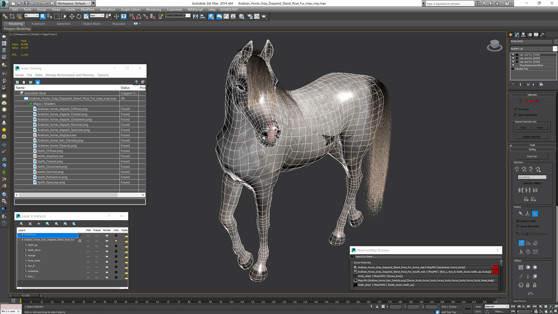 3D Arabian Horse Gray Dappled Stand Pose Fur