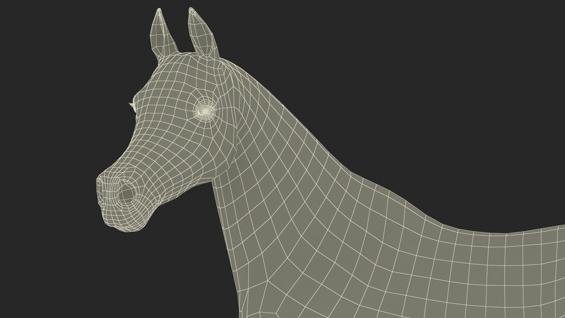 3D Arabian Horse Gray Dappled Stand Pose Fur