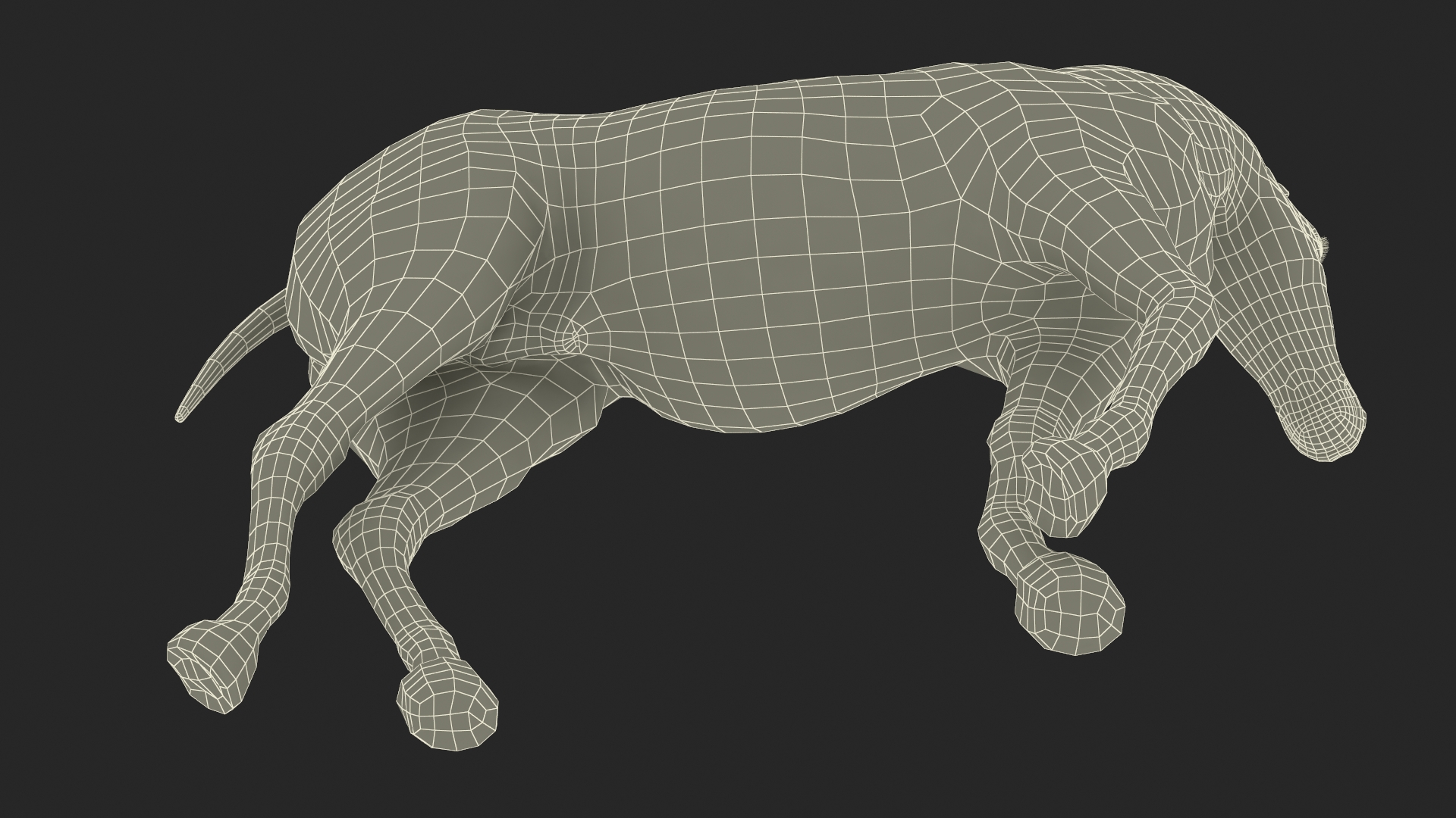3D Arabian Horse Gray Dappled Stand Pose Fur