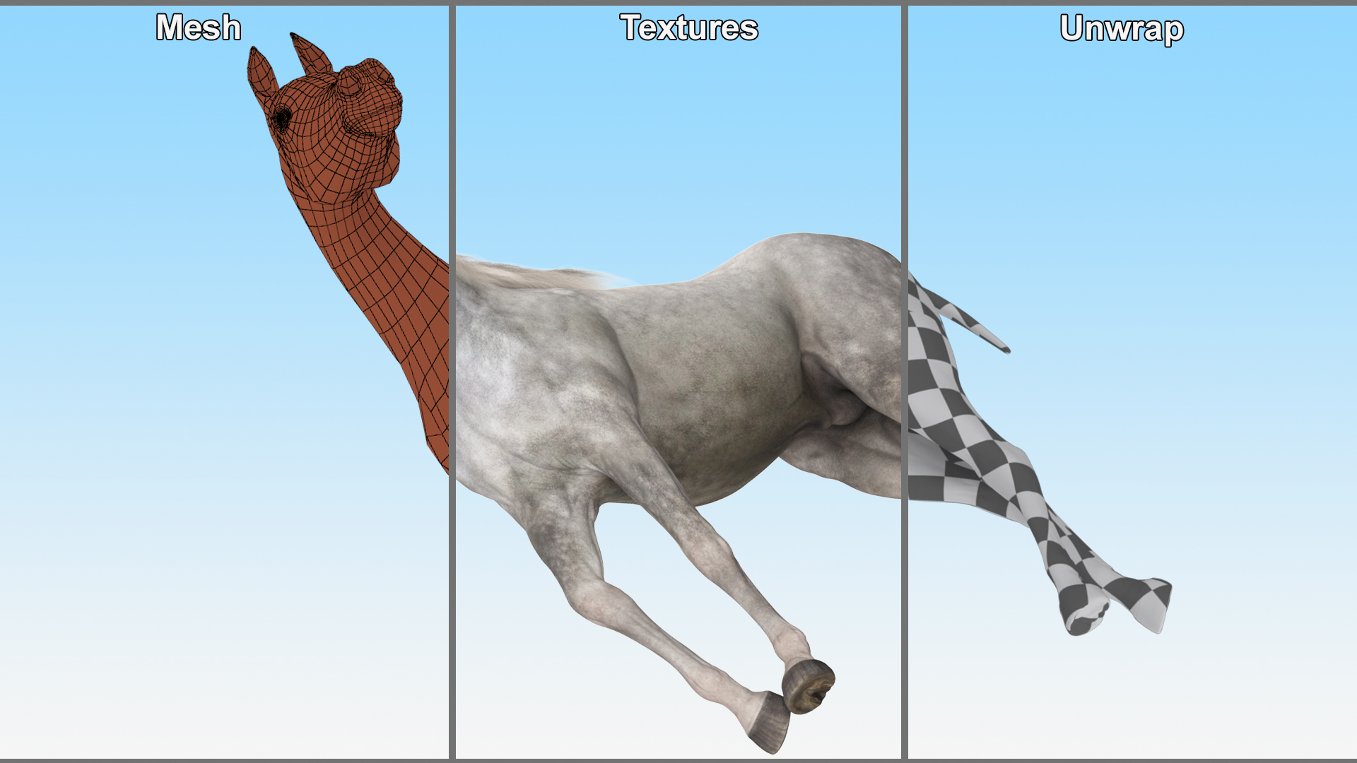 3D Arabian Horse Gray Dappled Stand Pose Fur