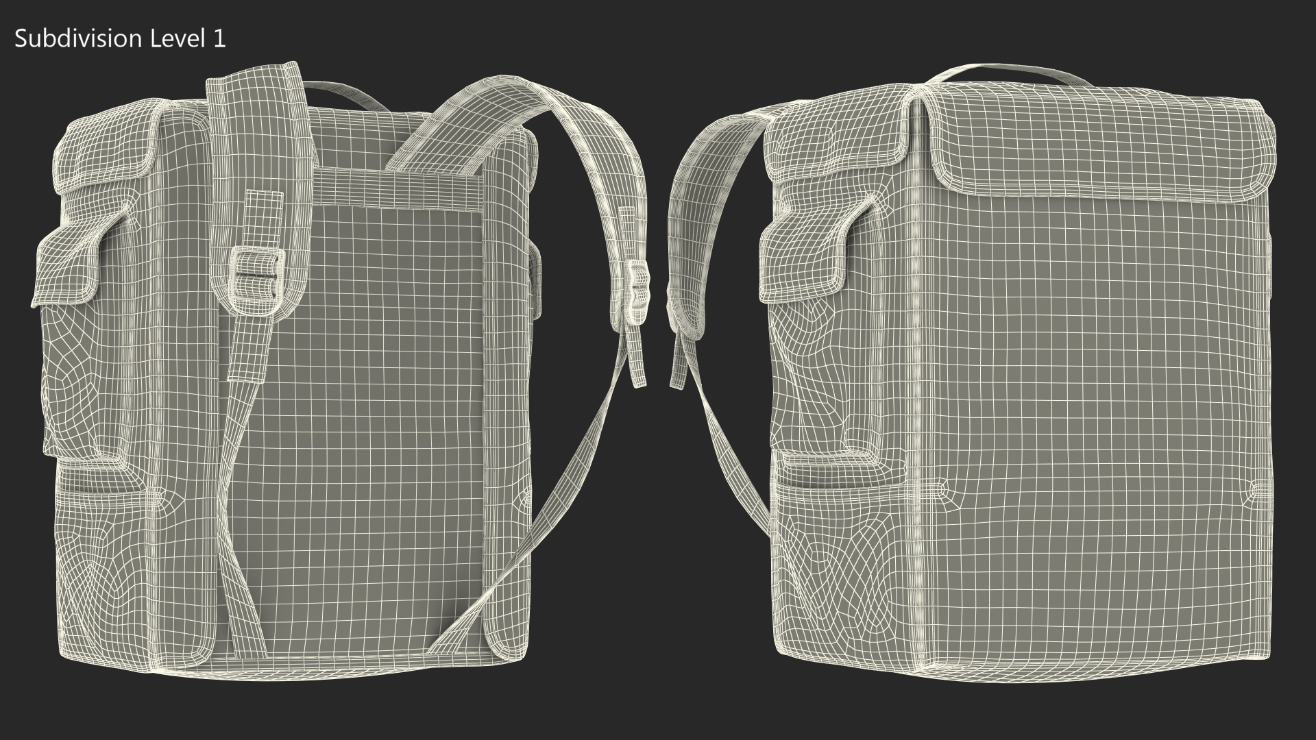 Insulated Food Delivery Bag 3D