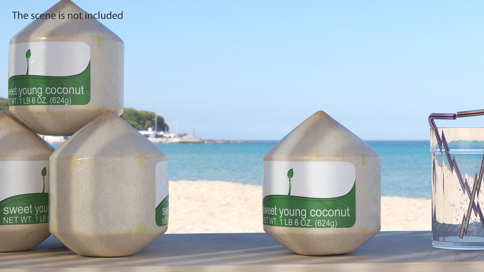 Fresh Young Shelled Coconut Pack 3D